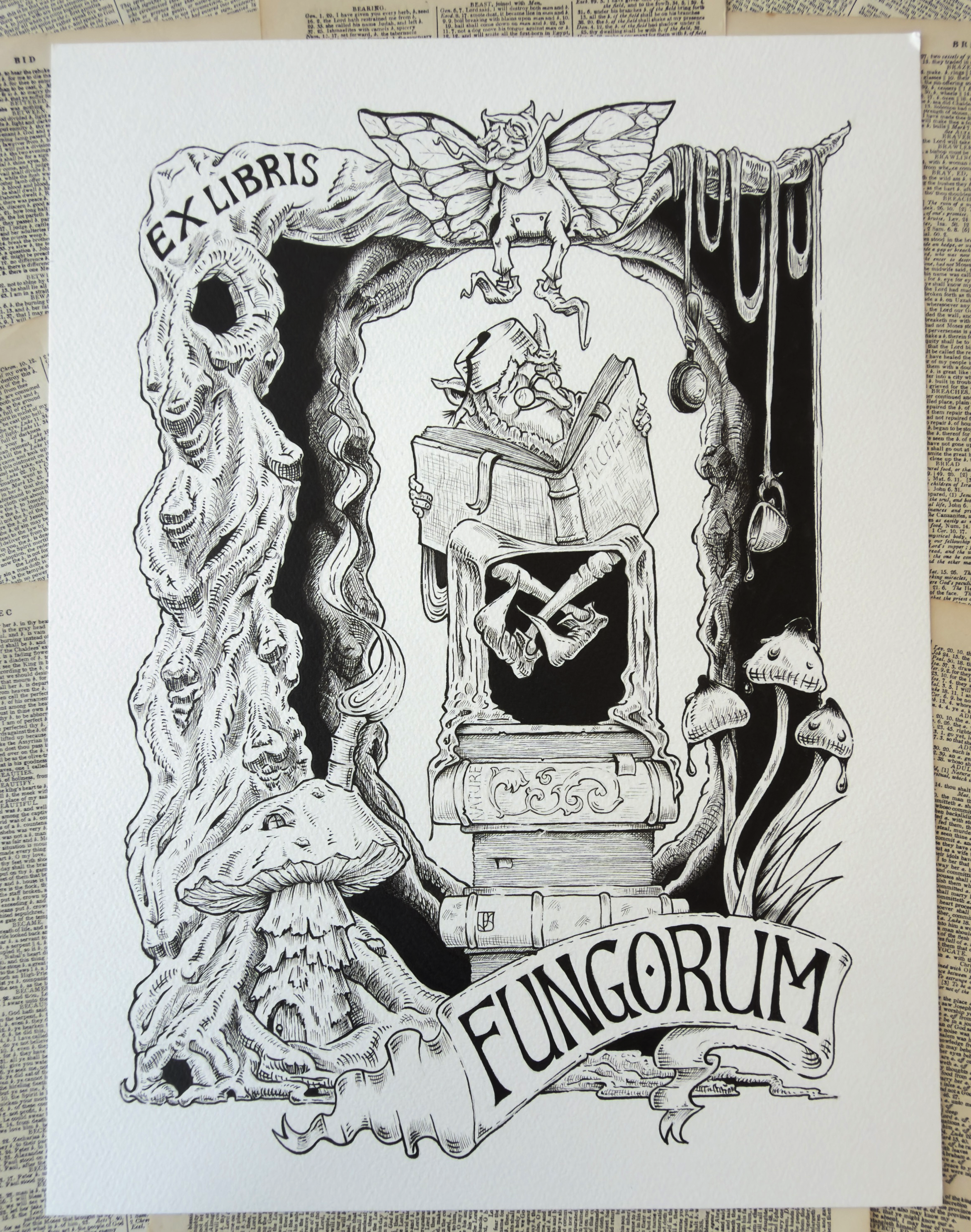 Ex Libris Fungorum Original artwork KJR.png