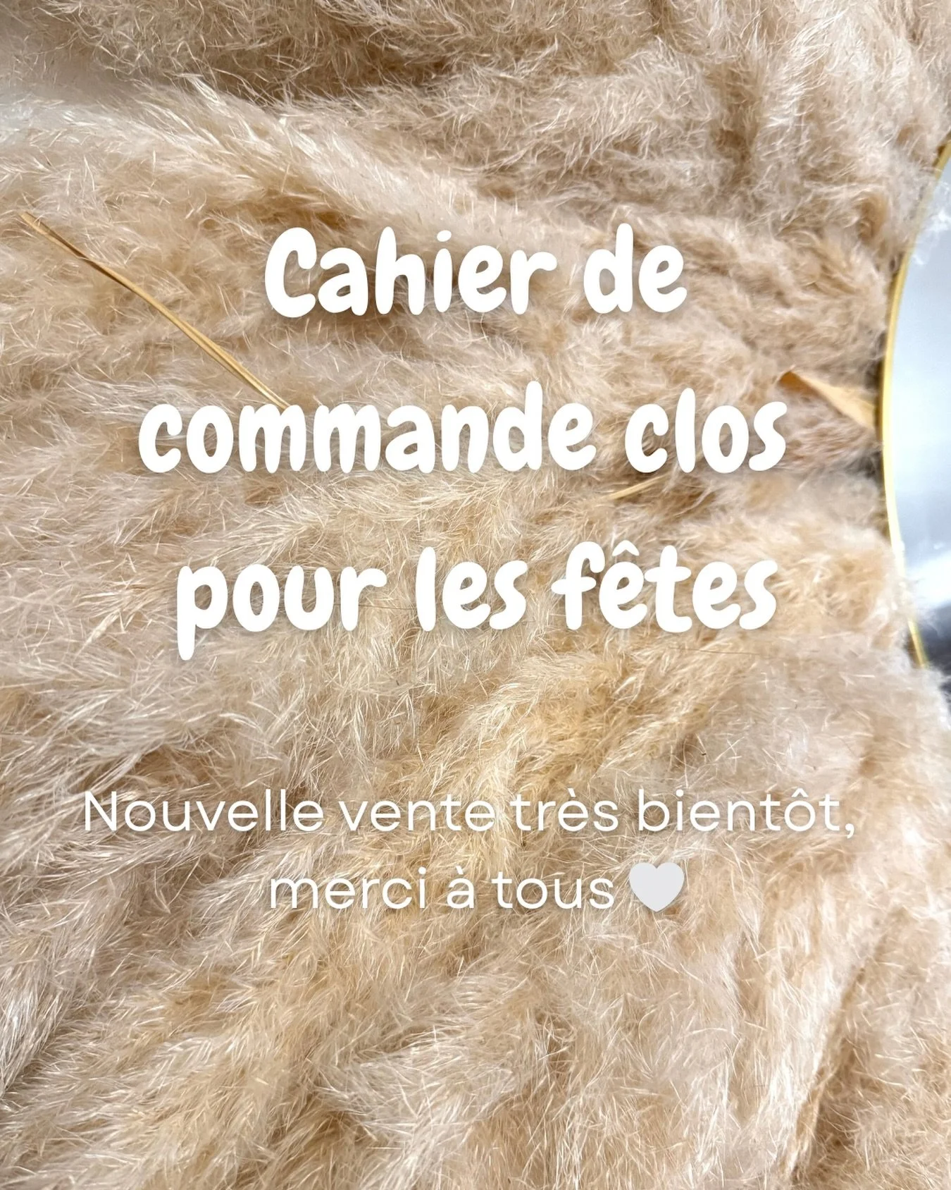 ✨ Le cahier de commandes pour les f&ecirc;tes est officiellement ferm&eacute; ! ✨

Un immense merci pour toutes vos commandes, vos messages et votre confiance. Gr&acirc;ce &agrave; vous, cette fin d&rsquo;ann&eacute;e est d&eacute;j&agrave; remplie d