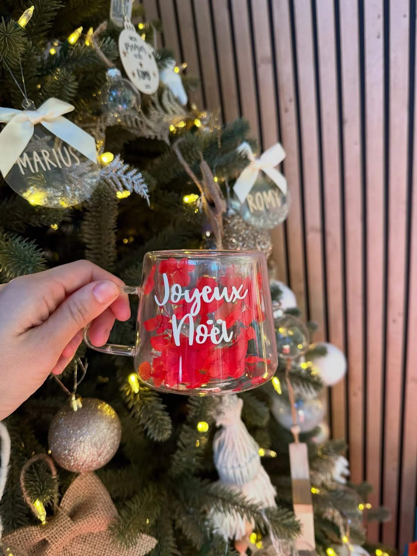 🎄✨ Joyeux No&euml;l &agrave; tous ✨🎄

Je vous souhaite une journ&eacute;e remplie de douceur, d&rsquo;amour et de jolis moments partag&eacute;s 🤍

En cette fin d&rsquo;ann&eacute;e, j&rsquo;ai aussi une immense gratitude&hellip;
Ces 6 premiers moi