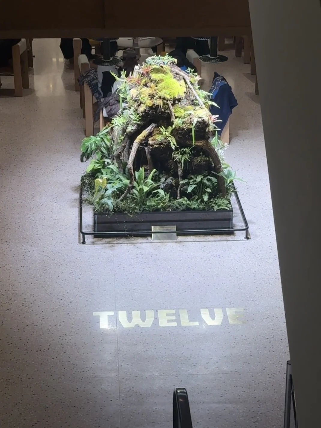 Twelve at House of Shinsegae Cheongdam : Inside the Erewhon of Seoul