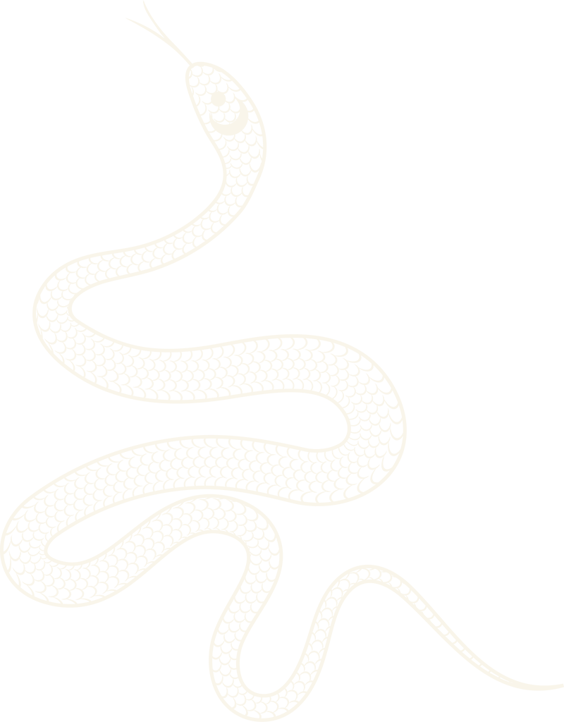Illustration of a snake coiled with a patterned body against a black background.