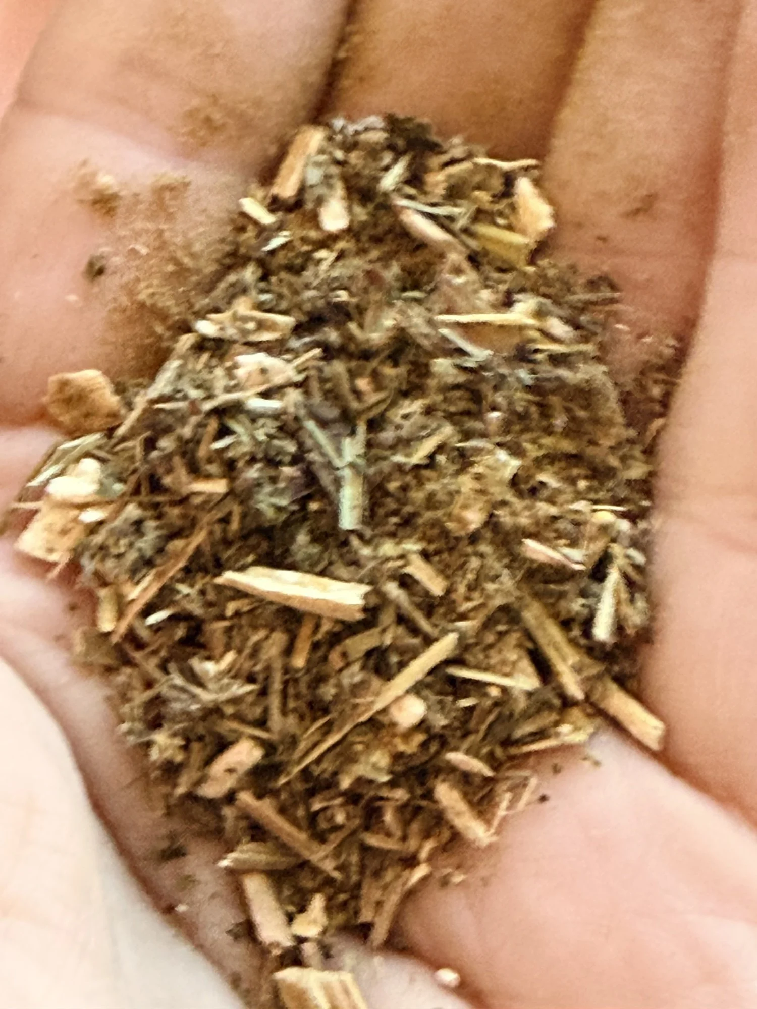 Venus Incense — The Pleiades