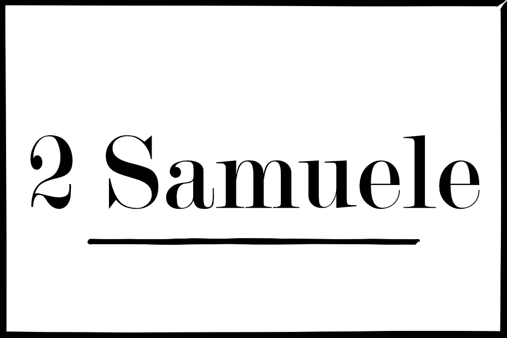 2 Samuele 8