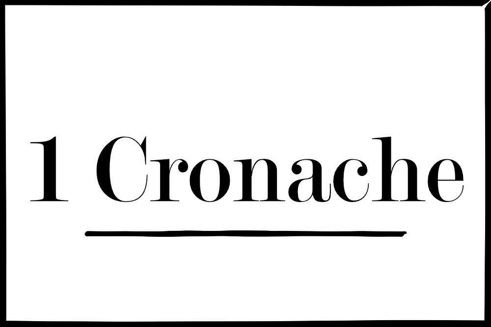 1 Cronache 28