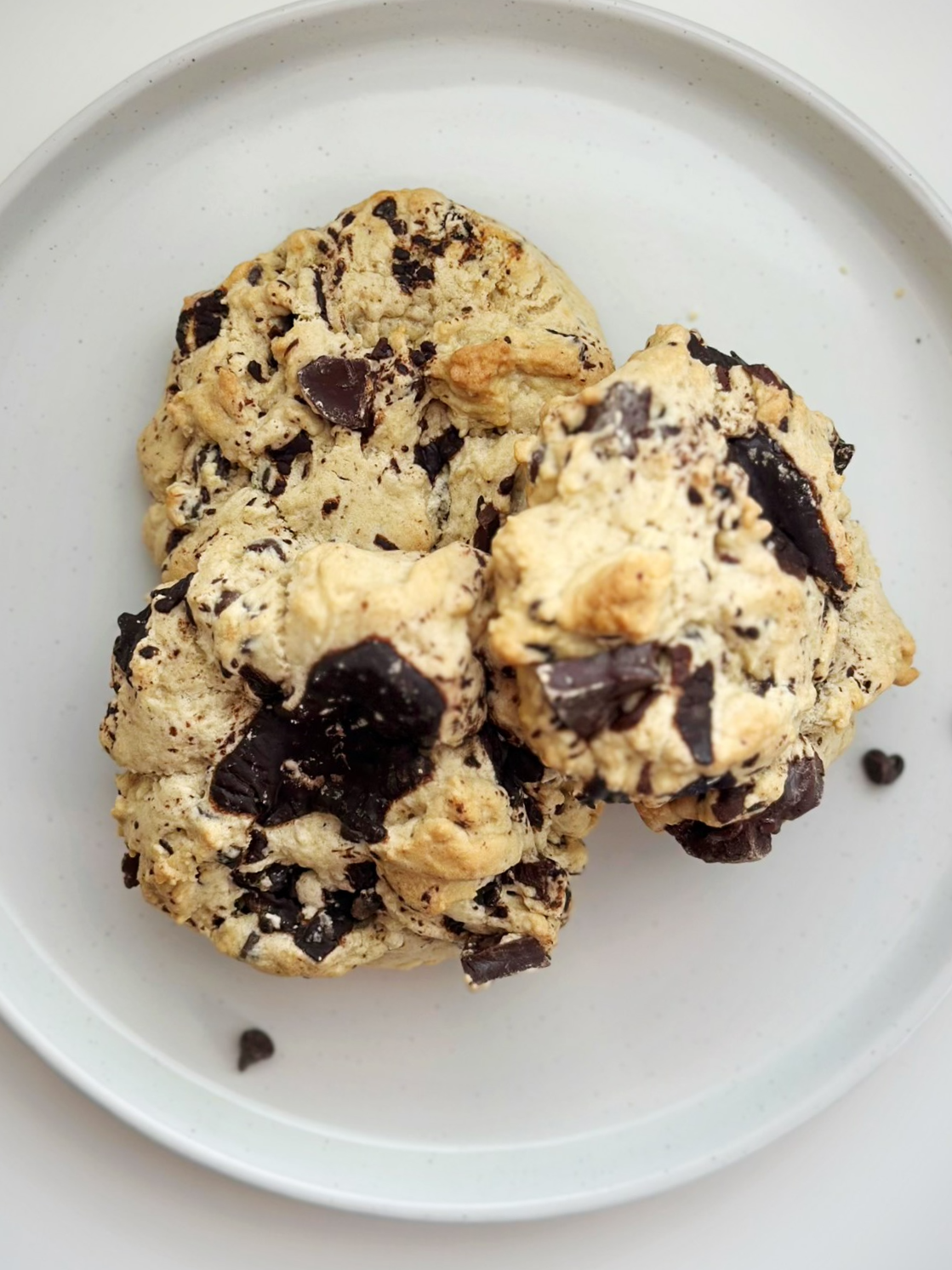 chocolate+chip+cookie+2.png