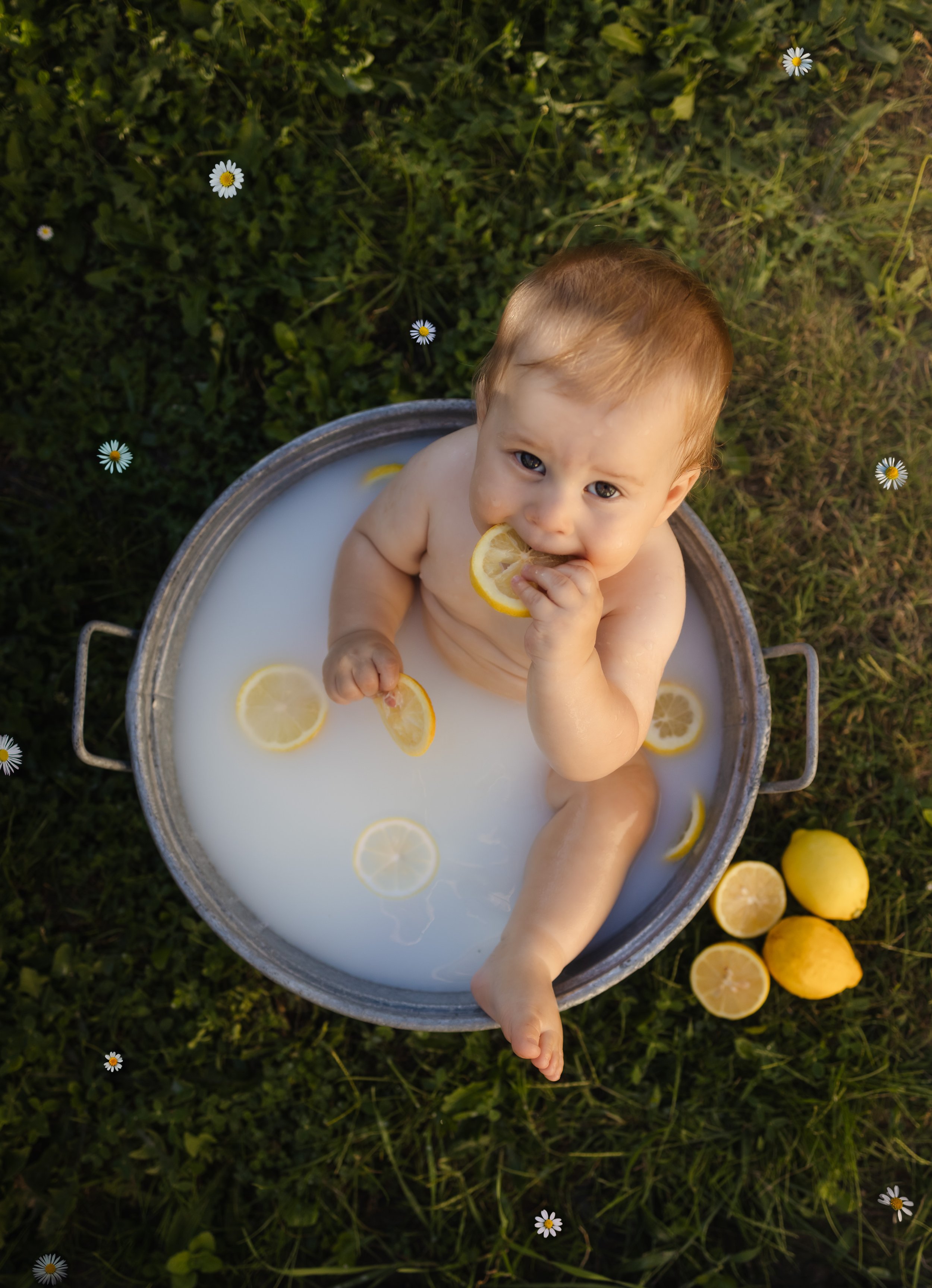 Un bébé assis dans un bac rempli de lait de citron, cueillant des rondelles de citron pour le manger, placé sur l'herbe verte avec des marguerites. Il tient une rondelle de citron dans la bouche et en a d'autres dans ses mains et flottant dans le lai