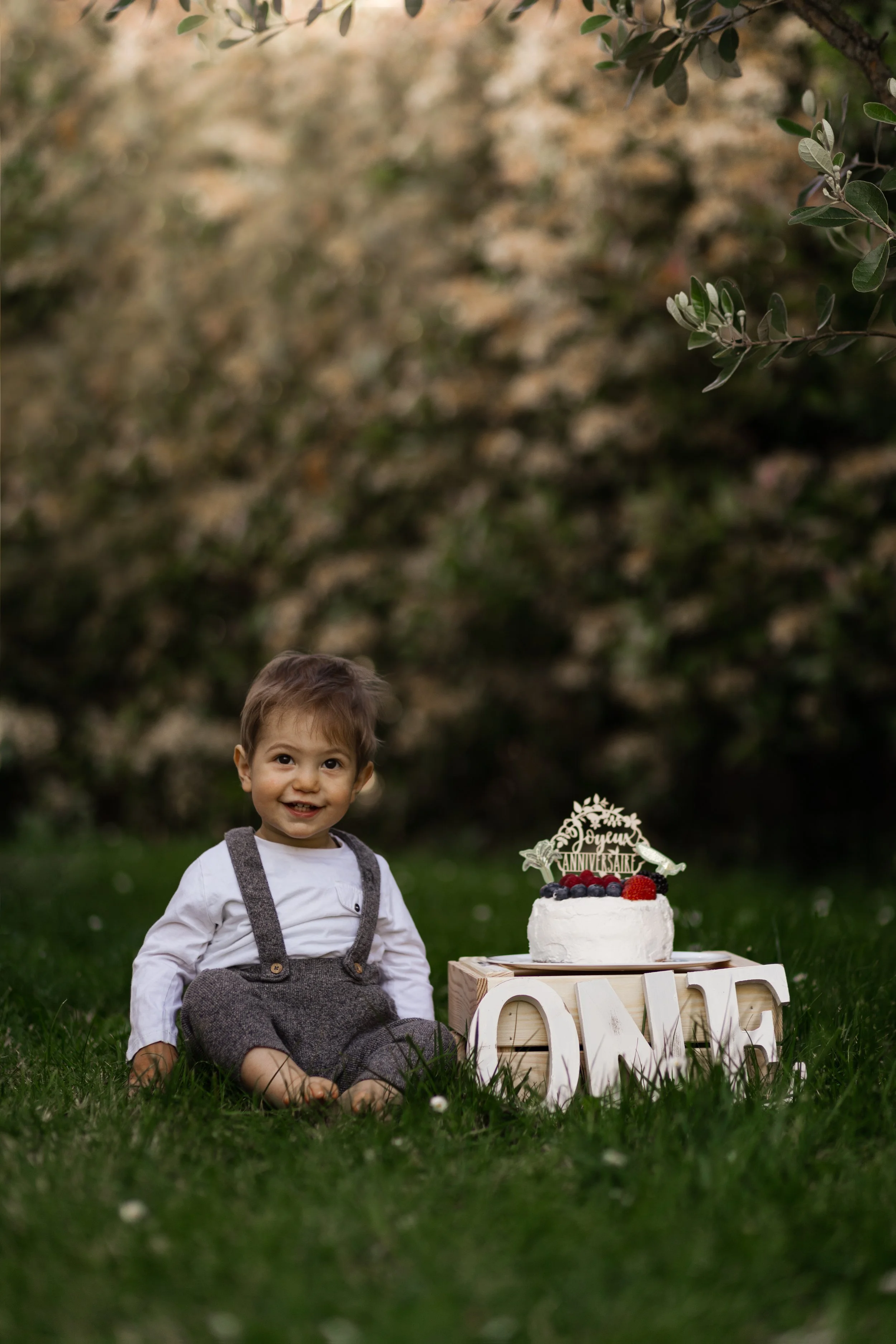 Un jeune garçon assis sur l'herbe avec un gâteau d'anniversaire décoré de fruits et une décoration 'Joyeux Anniversaire'.