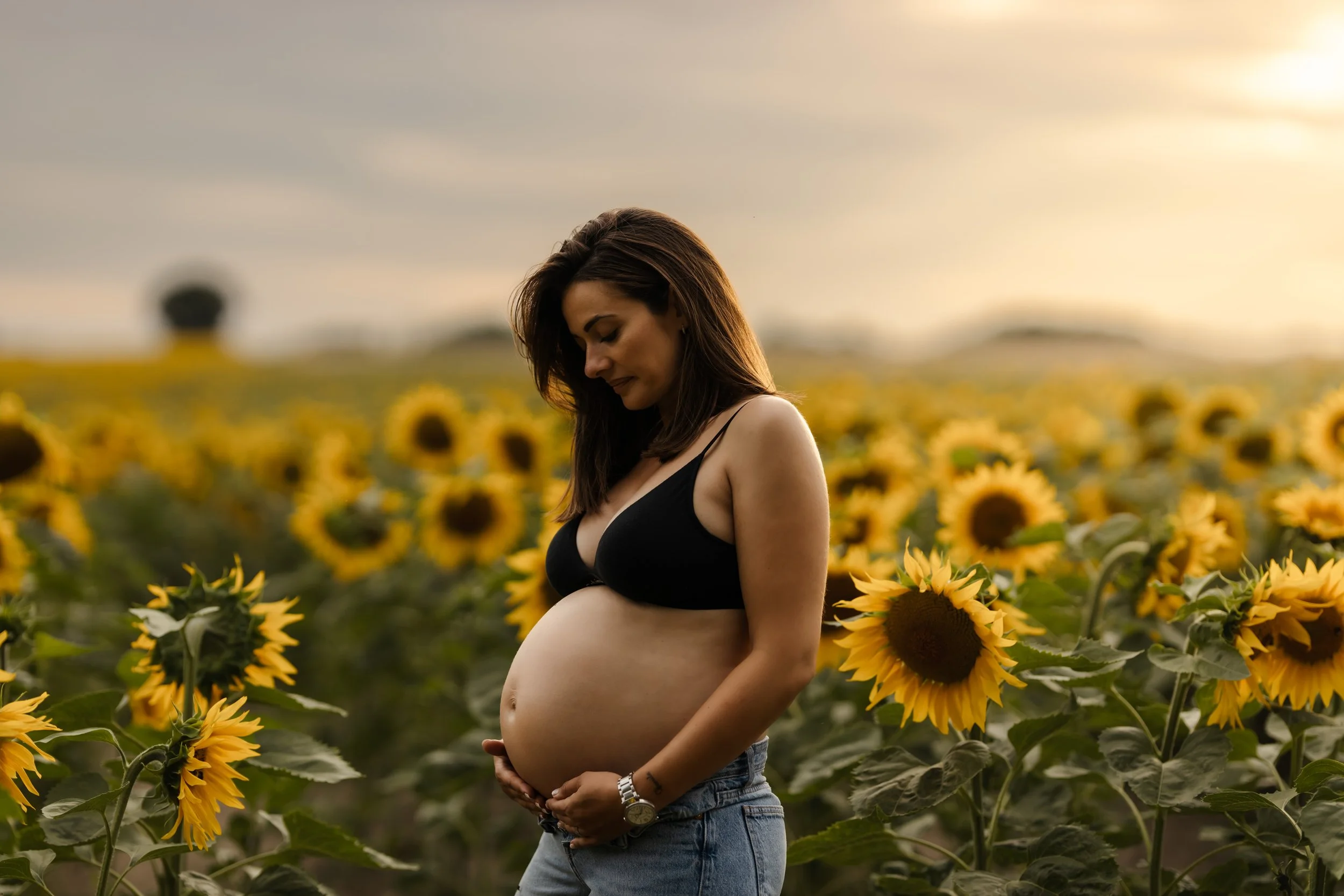 Femme enceinte dans un champ de tournesols au coucher de soleil, portant un haut noir et un jean, regardant son ventre.