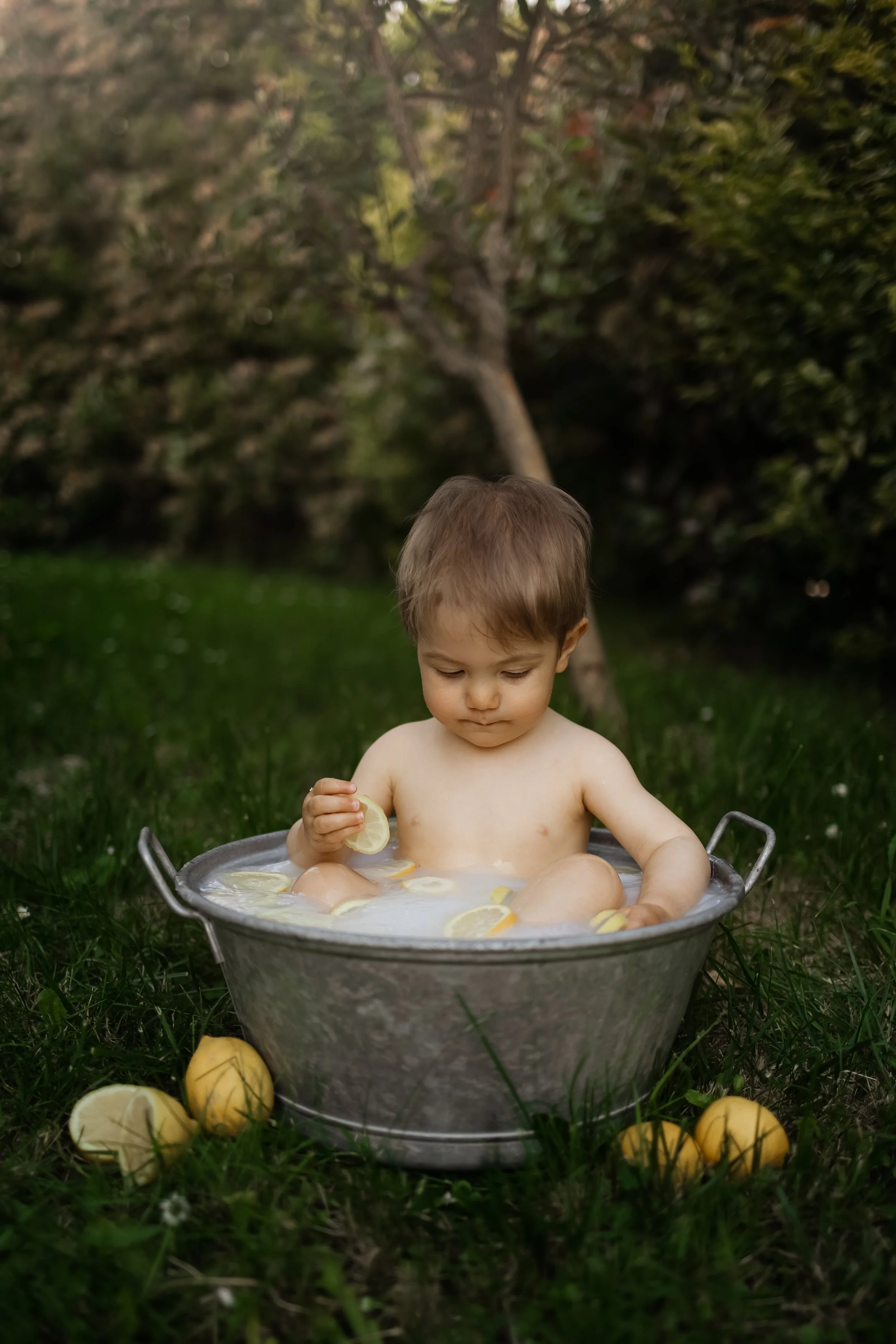 Jeune enfant jouant dans un bain de citron dans un seau en métal, assis dans l'herbe à l'extérieur, avec un arbre en arrière-plan.