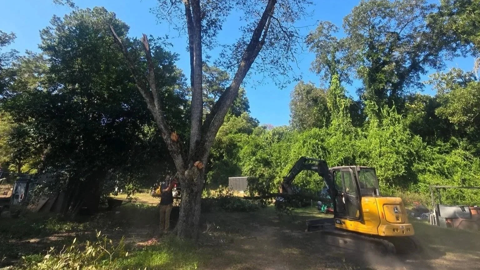Person operating a small yellow excavator near a large tree during daytime in a green, wooded area.