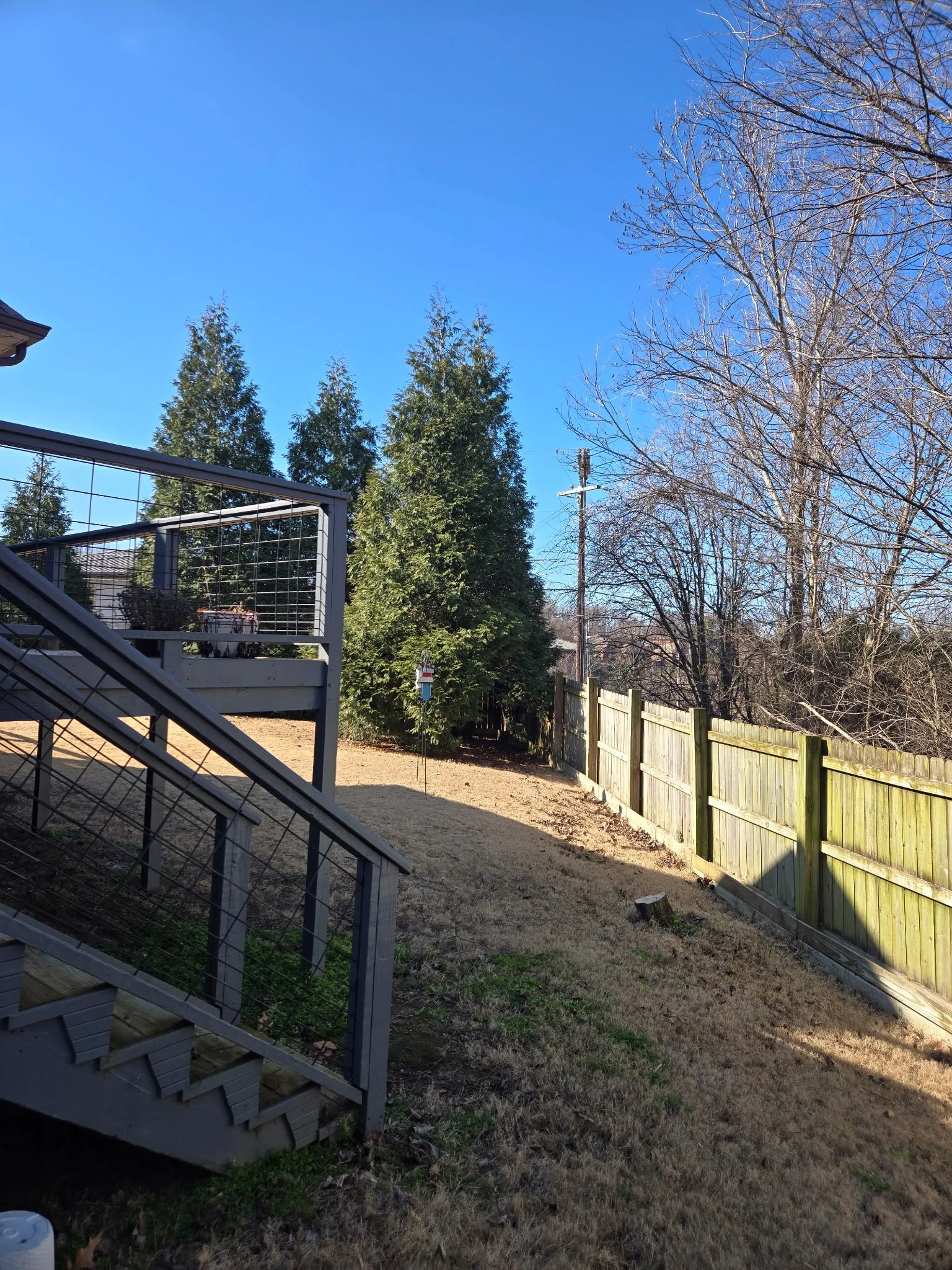 Backyard yard with a wooden fence, trees, and a clear blue sky.