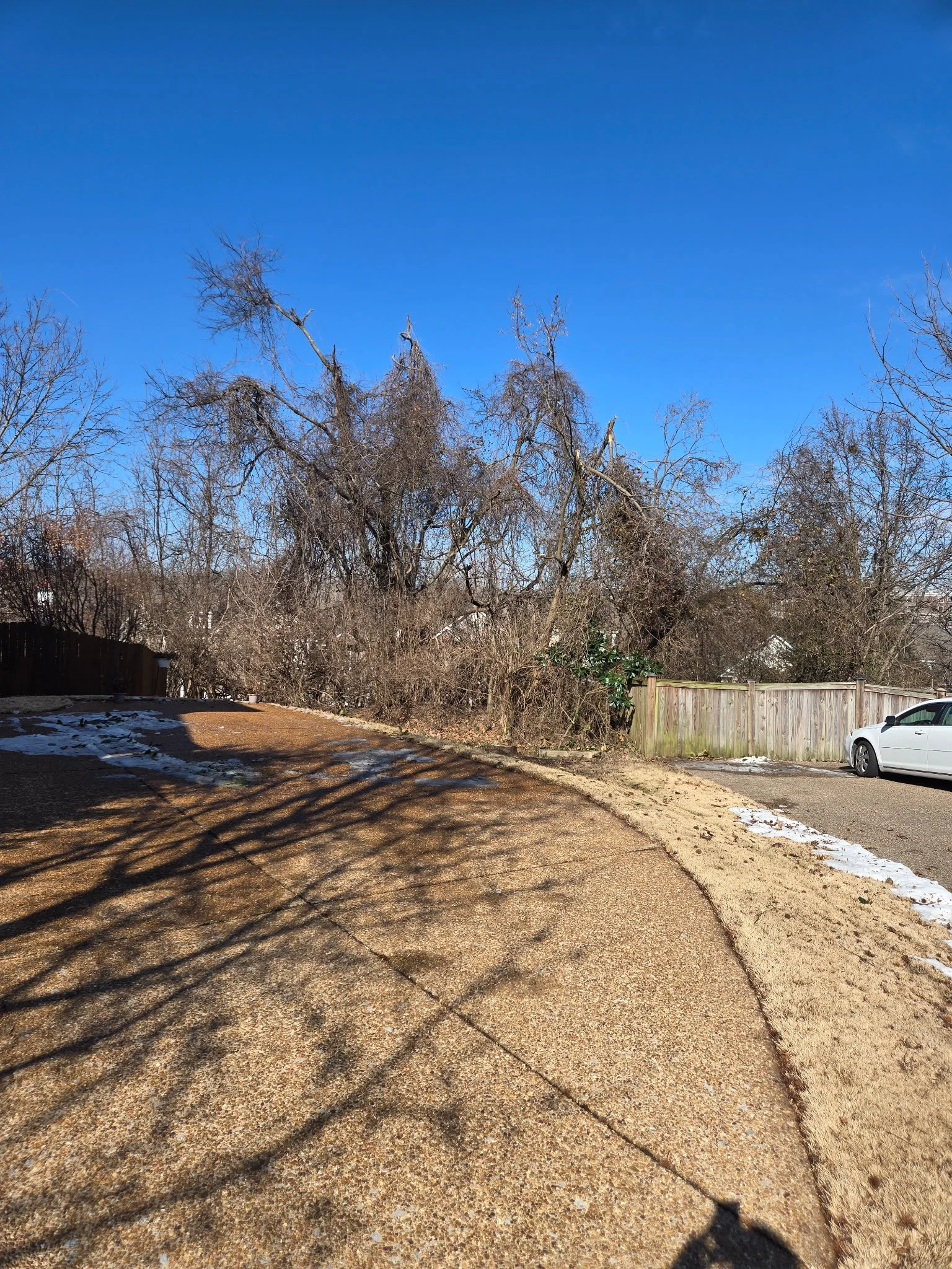 A backyard scene with a curved concrete patio, leafless trees, a wooden fence, some patches of snow, and a parked white car under a clear blue sky.