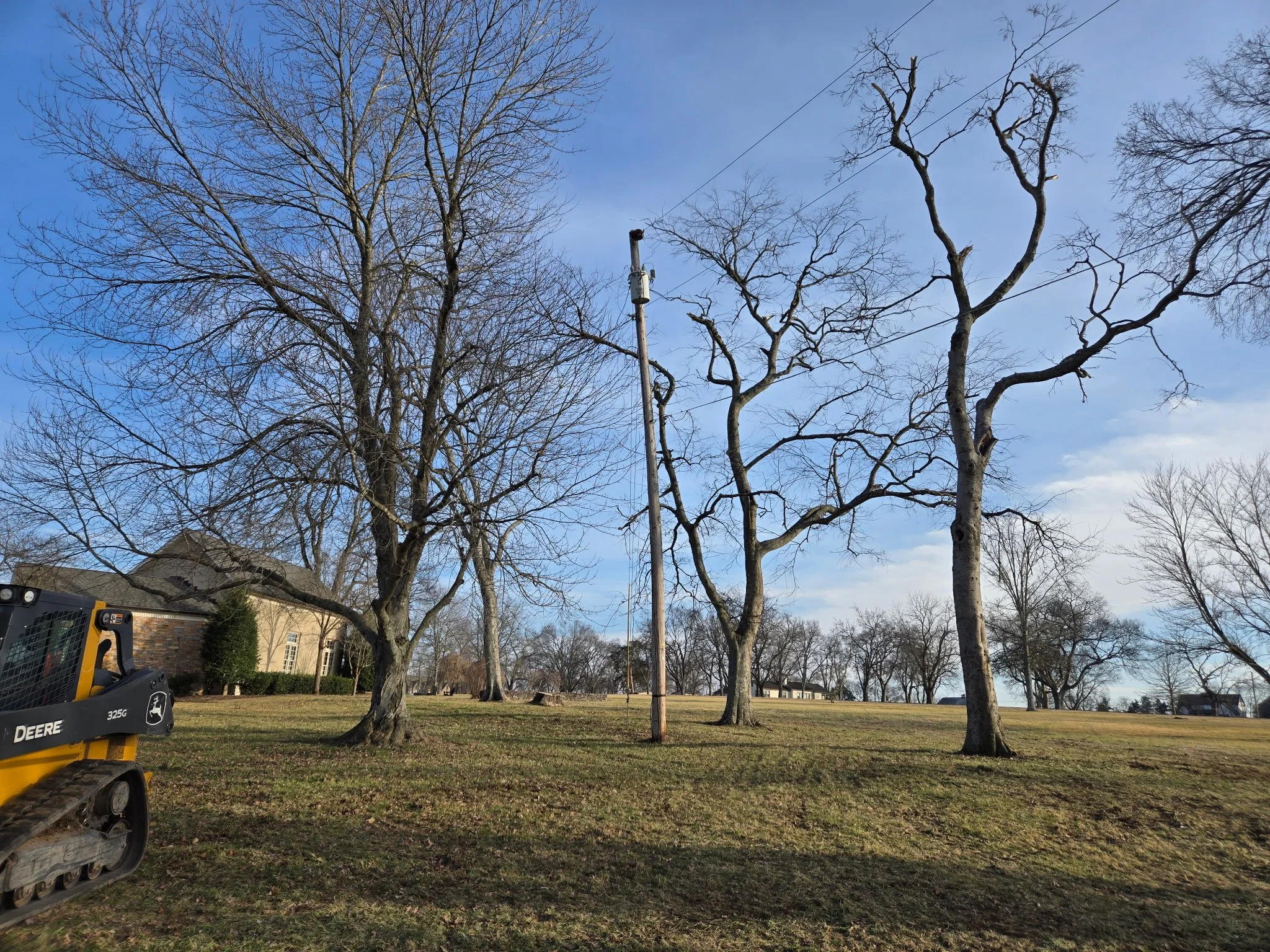 Leafless trees on a grassy hill with a house and a construction vehicle in the foreground, under a partly cloudy sky.