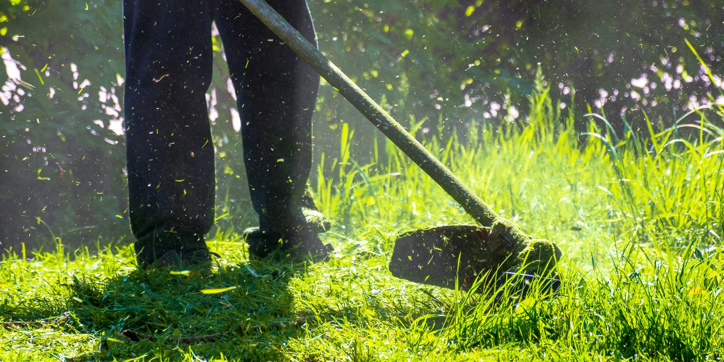Person using a rake on green grass in a garden or yard with sunlight filtering through trees.