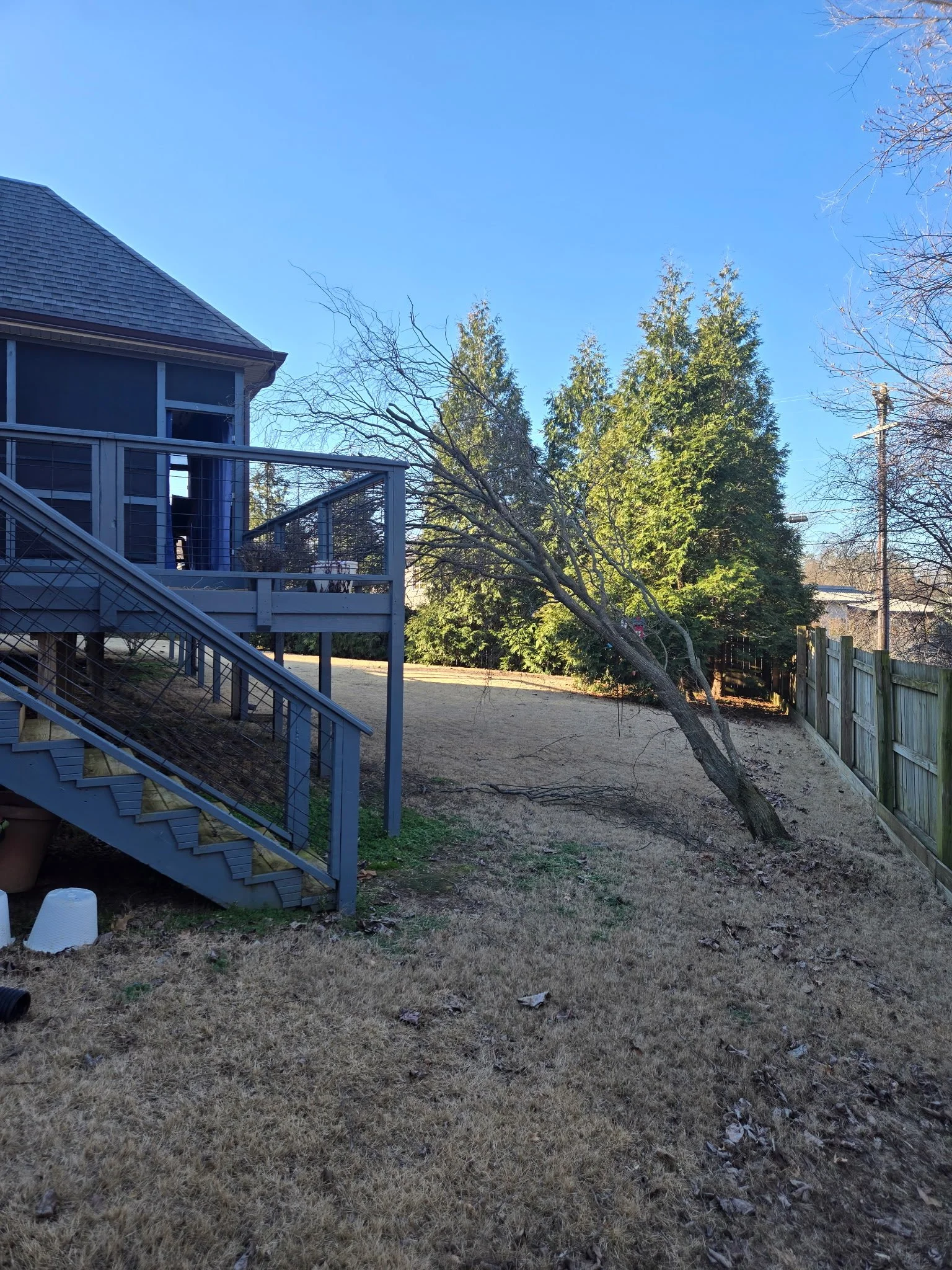 A backyard with a house and a tree that has fallen over, leaning on other trees, with a wooden fence on the right side and a clear blue sky overhead.