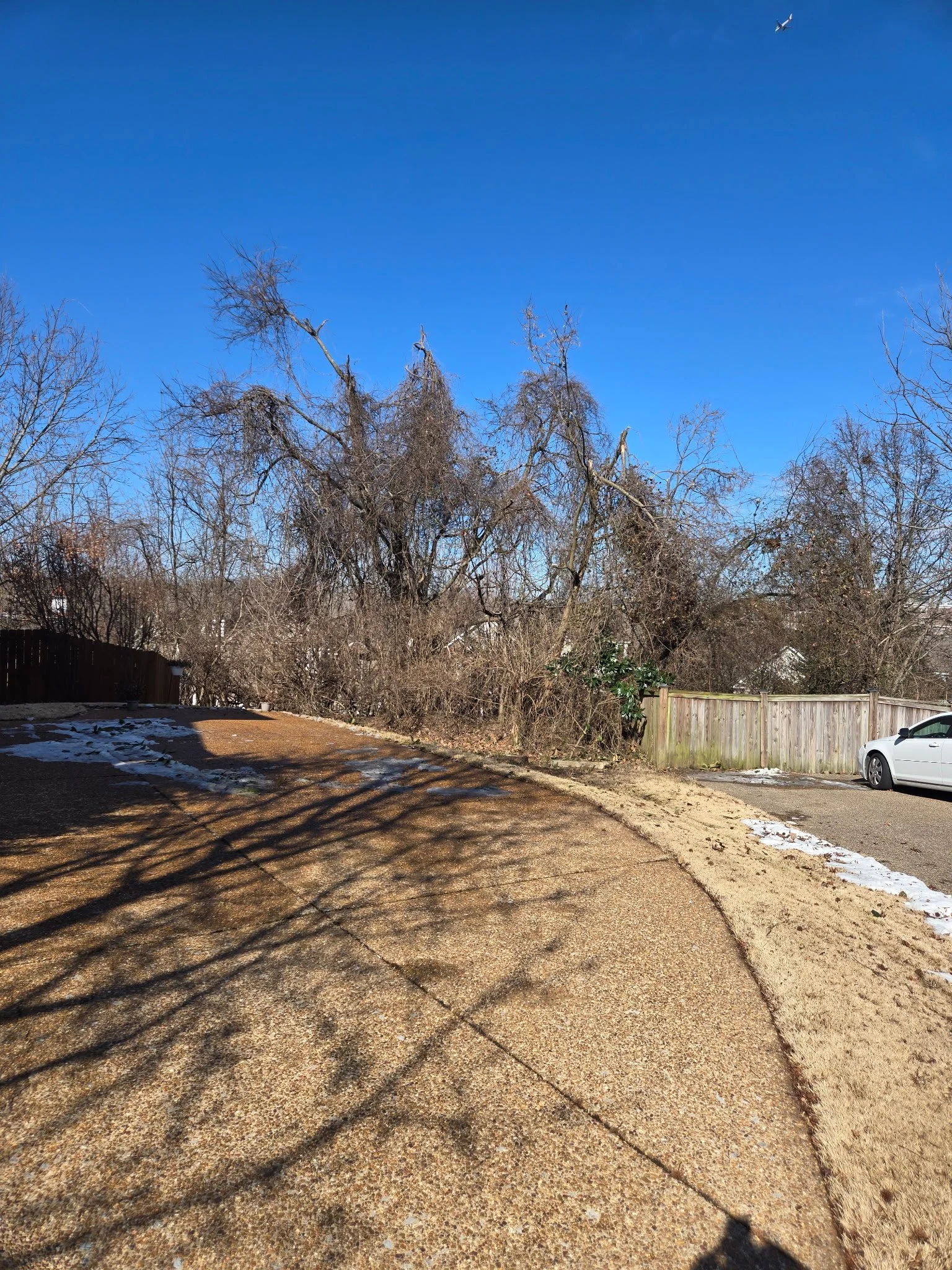 Sunny yard with leafless trees, a driveway, a white car, and patches of snow, under a clear blue sky.