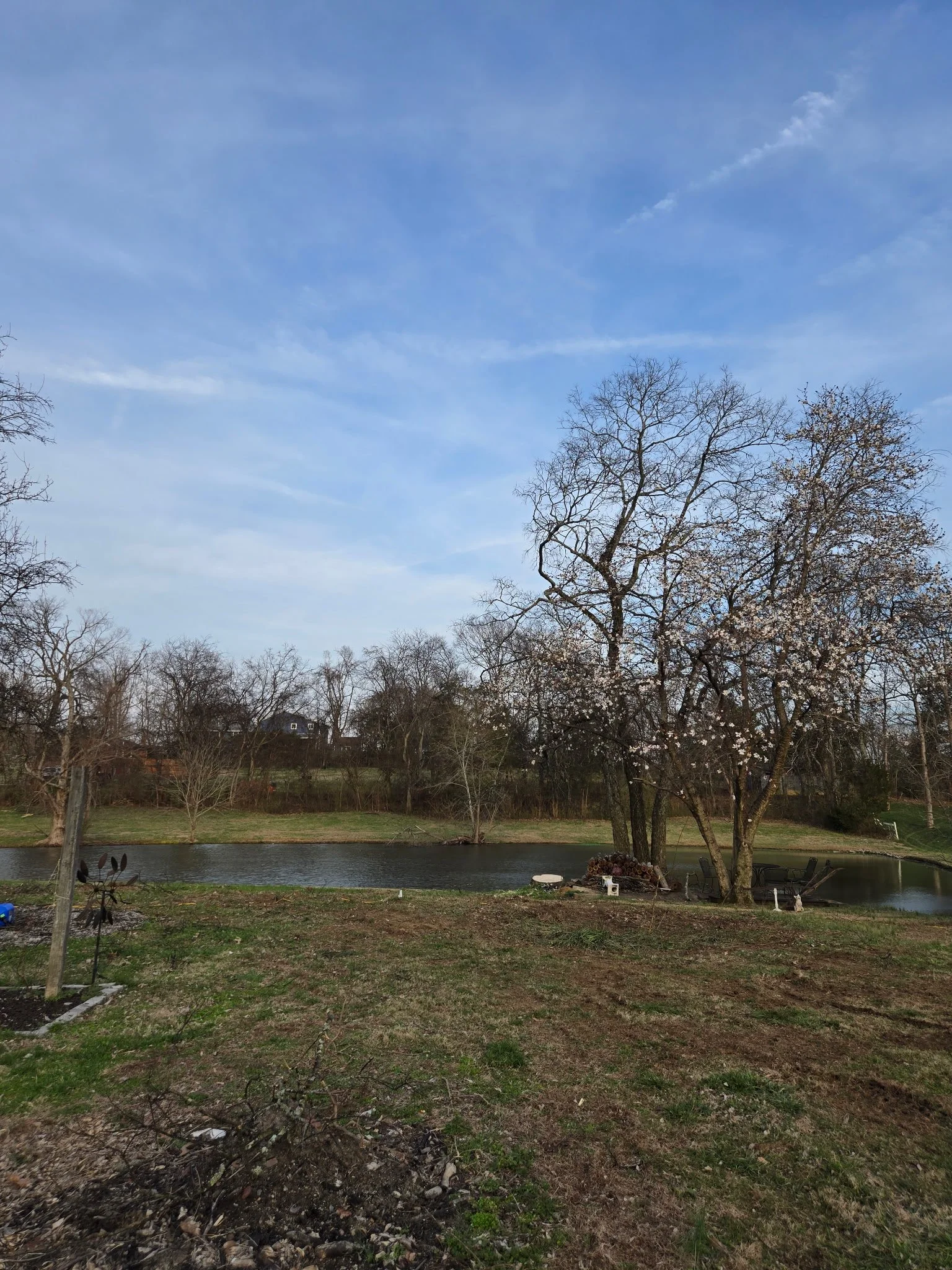 A peaceful backyard scene with a pond, several trees, some of which have blossoms, and a blue sky with wispy clouds.