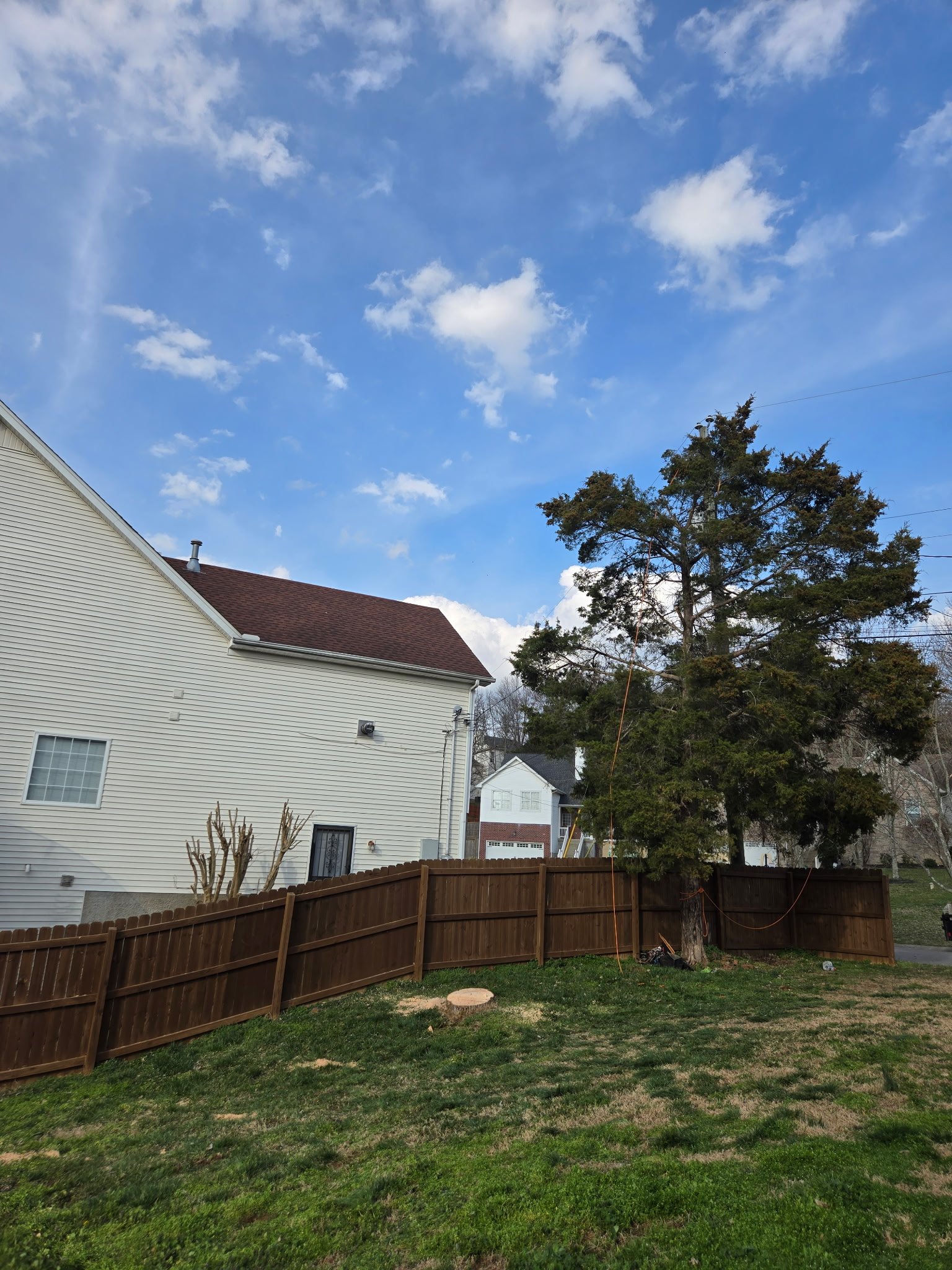 A backyard scene with a wooden fence, a large tree with some orange flagging tape, a white house with a red roof, and a bright blue sky with scattered white clouds.