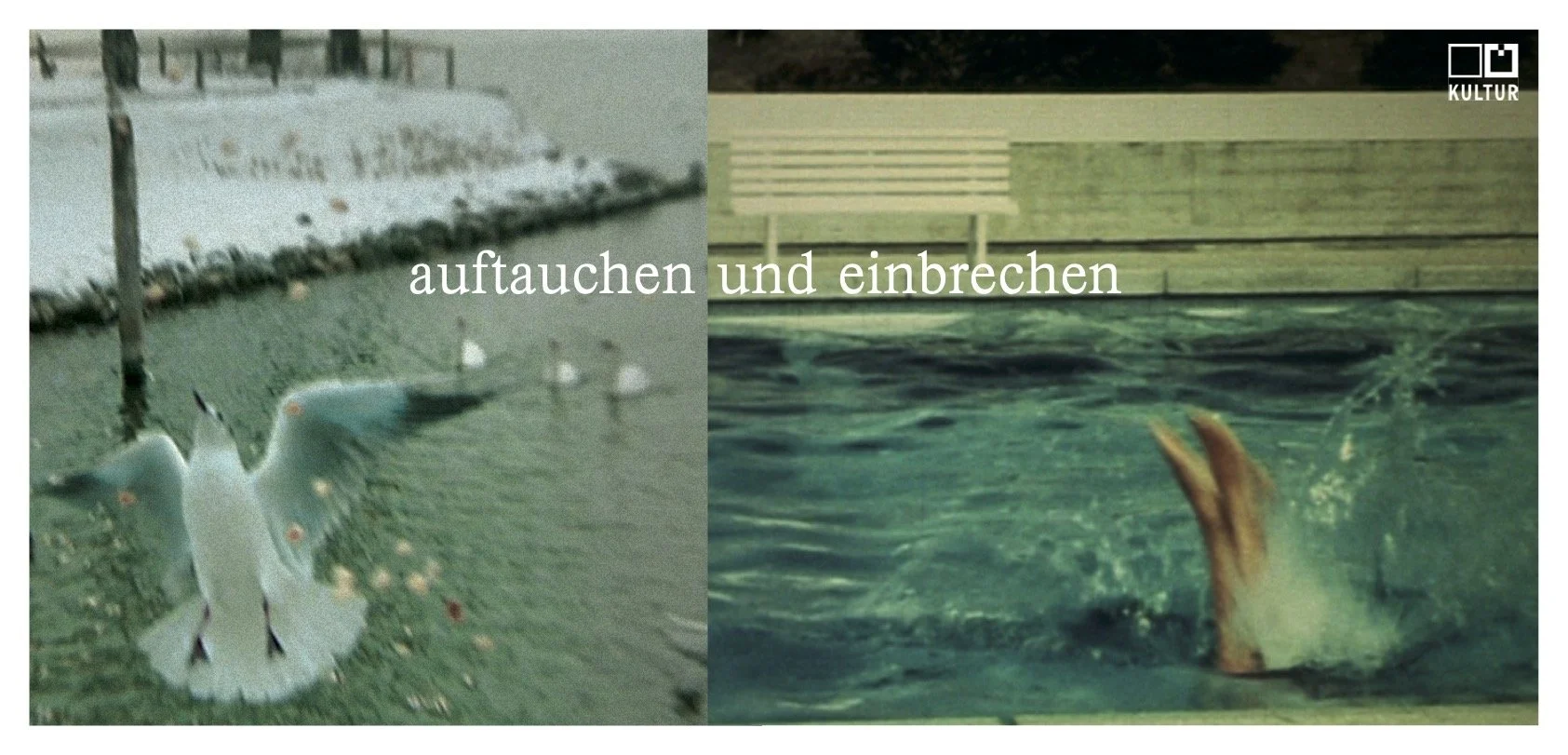 2006_stifter-haus-nextext_va-flyer_auftauchen-und-einbrechen.jpg