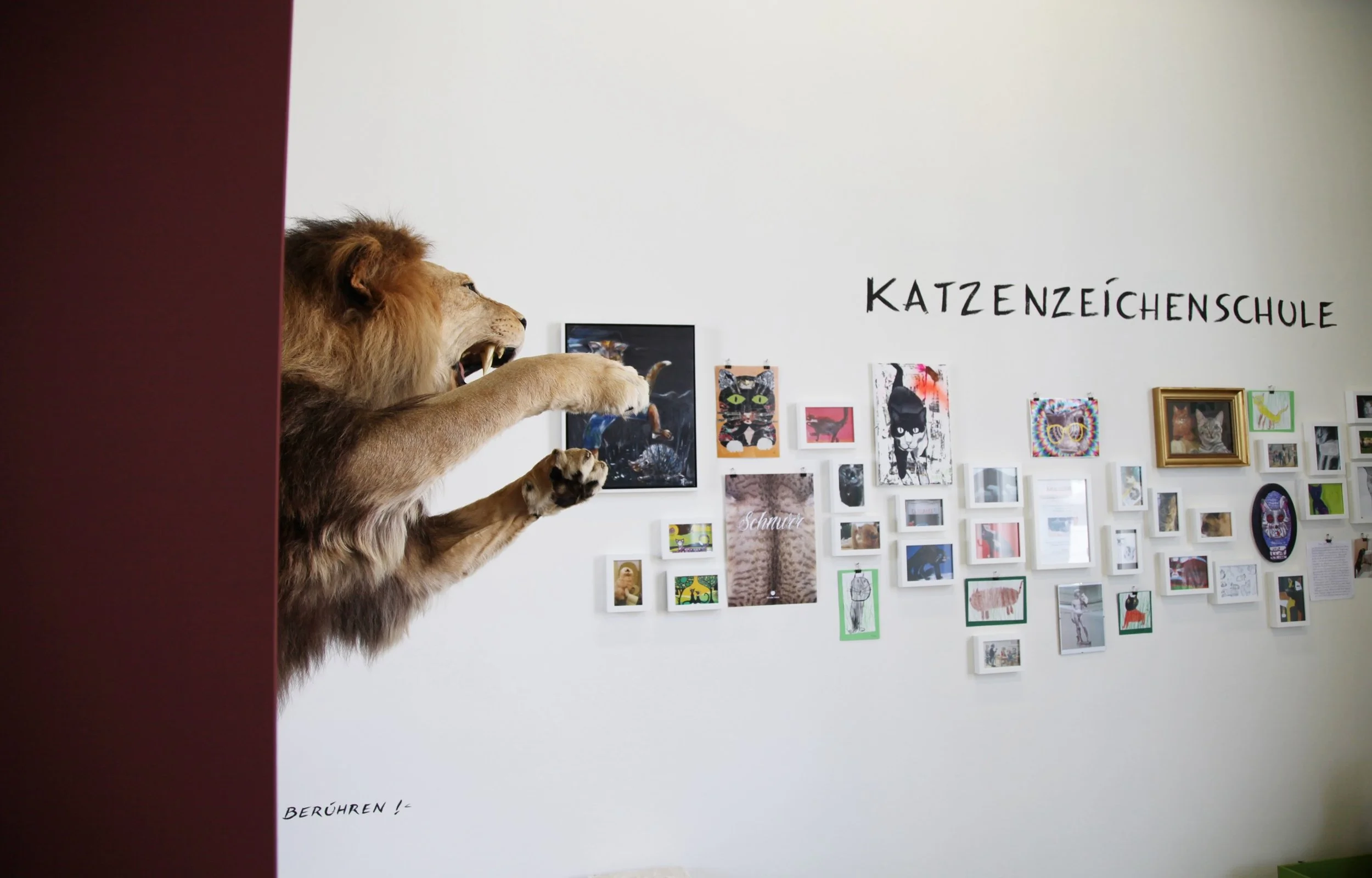 5_2014_galerie-der-stadt-wels_wunder-katze_1.jpeg