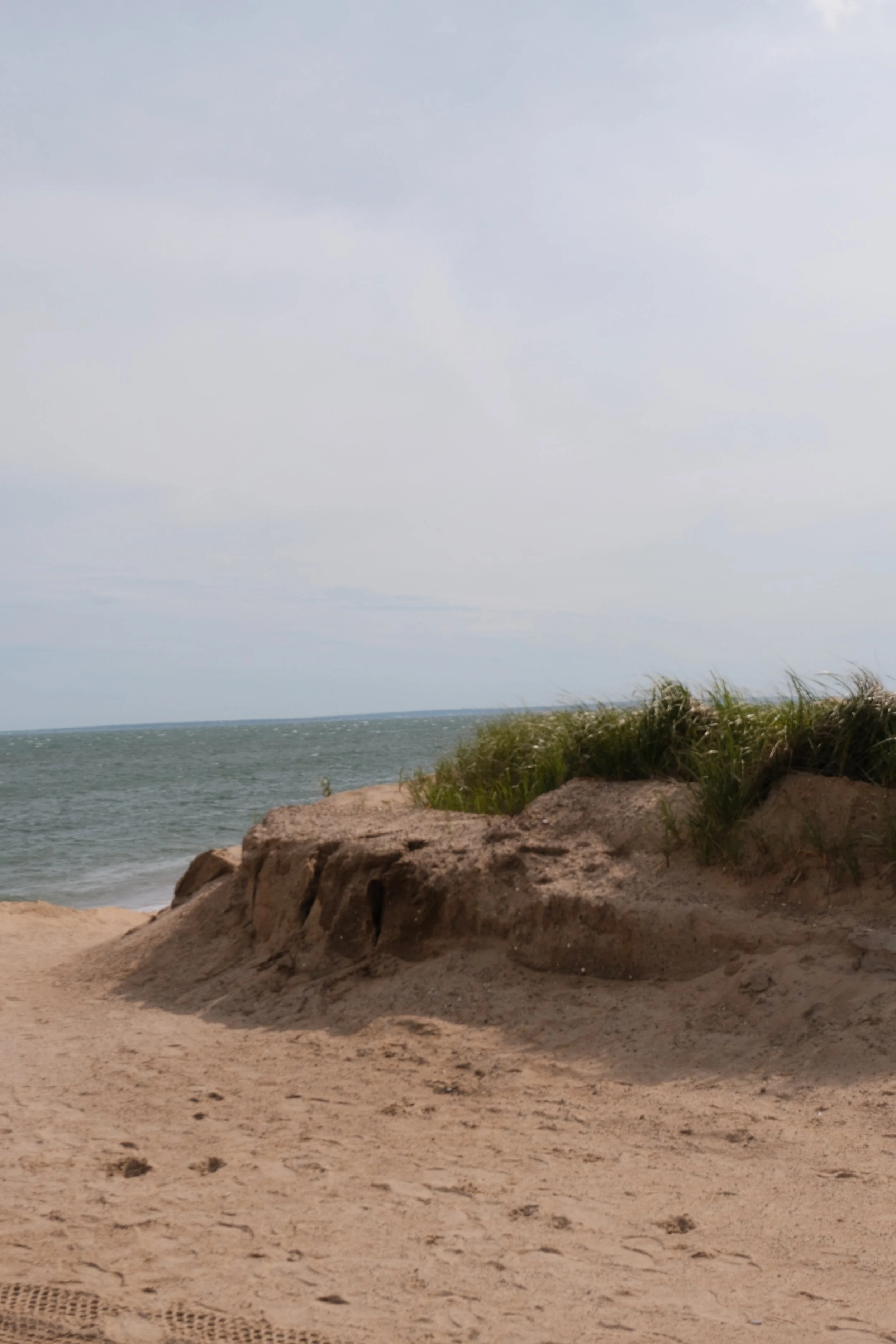 DSCF5779.JPG