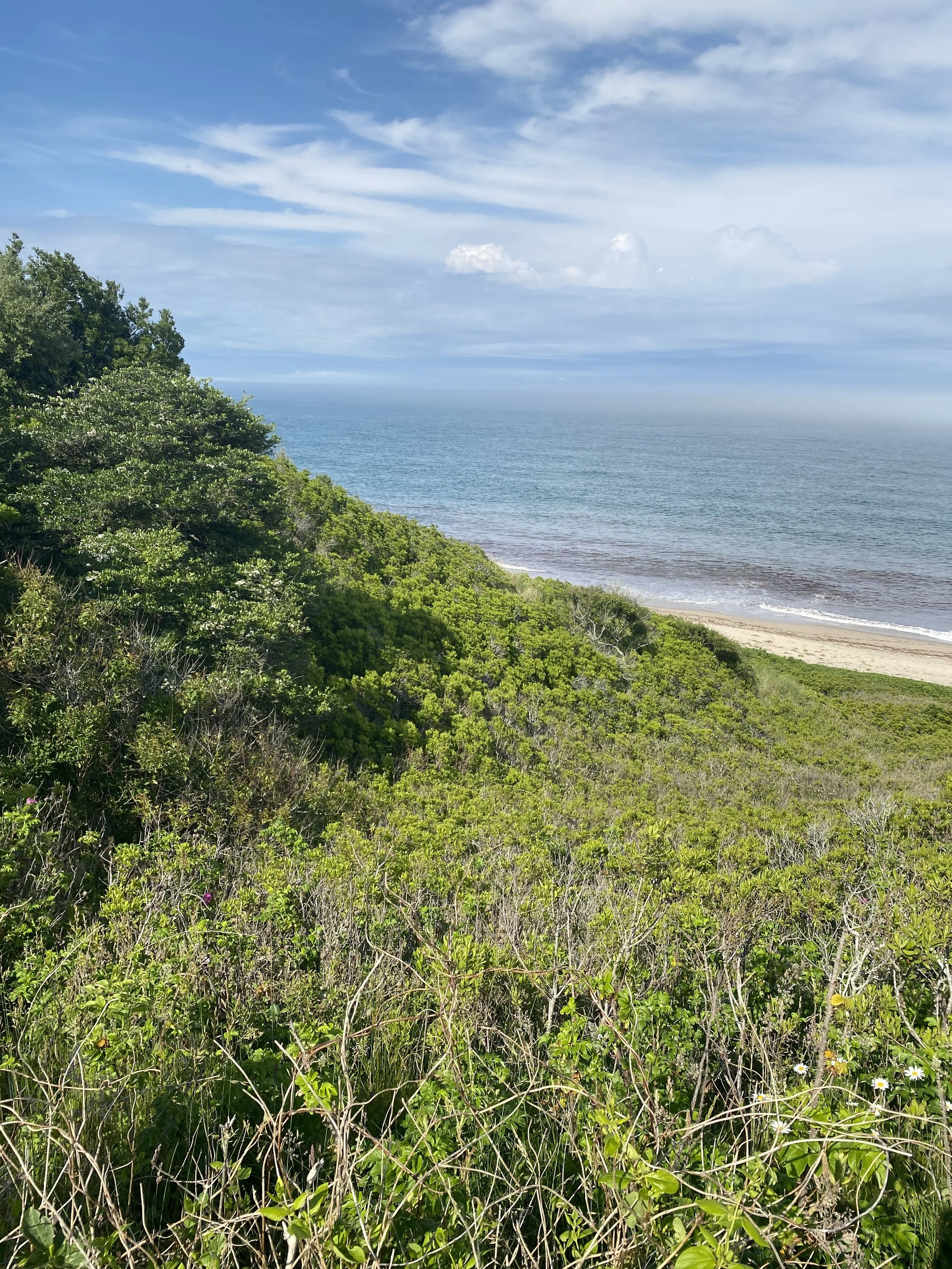 "Nantucket proposal filmed in historic downtown with candid, behind-the-scenes content creation."
"Sunset Cape Cod proposal documented with authentic content for luxury couples."
"Newport harbor proposal captured with timeless wedding content
