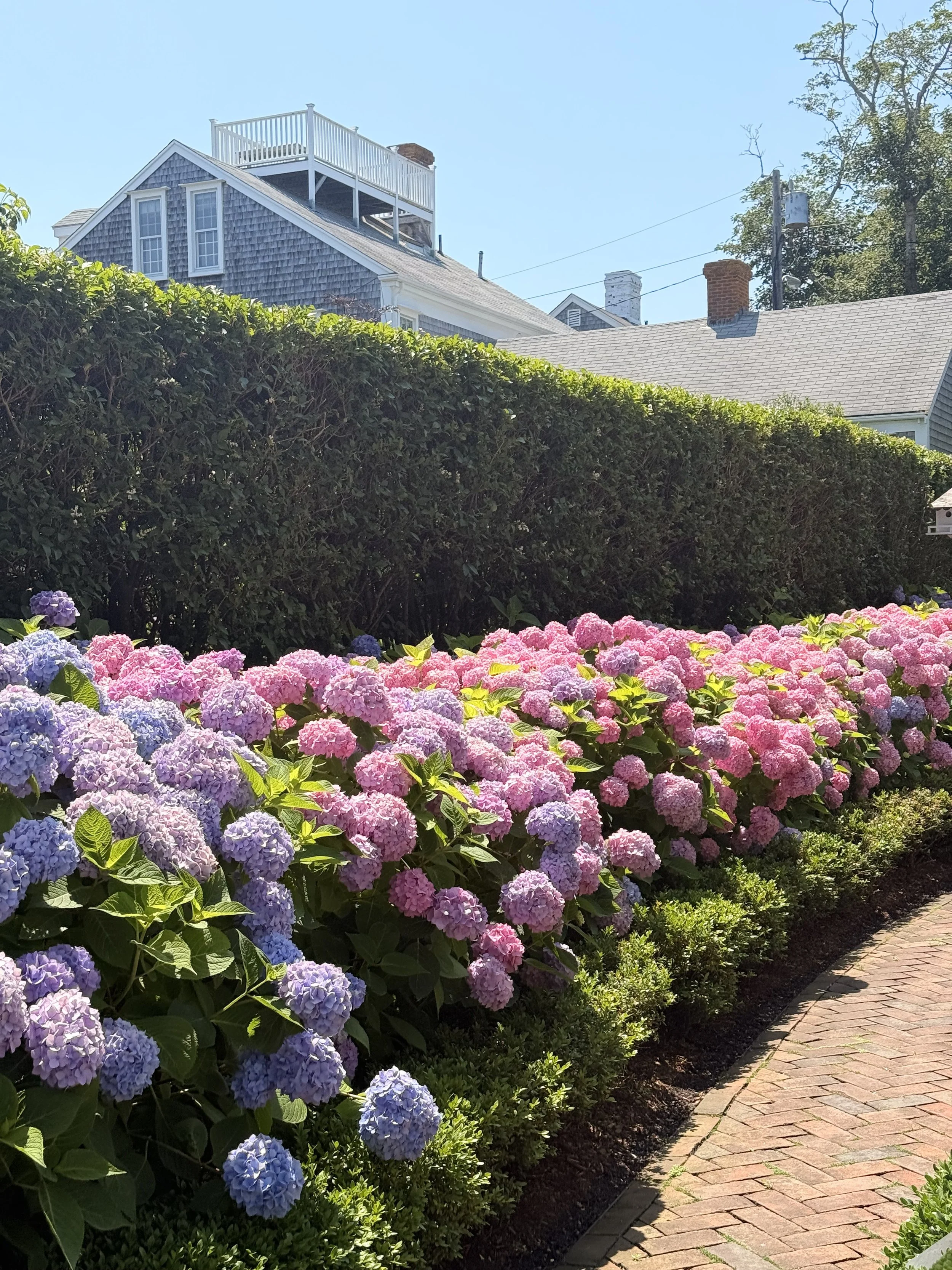 "Nantucket wedding content creator filming joyful reception moments at Cisco Brewery, galley beach, the only nantucket wedding content creator
