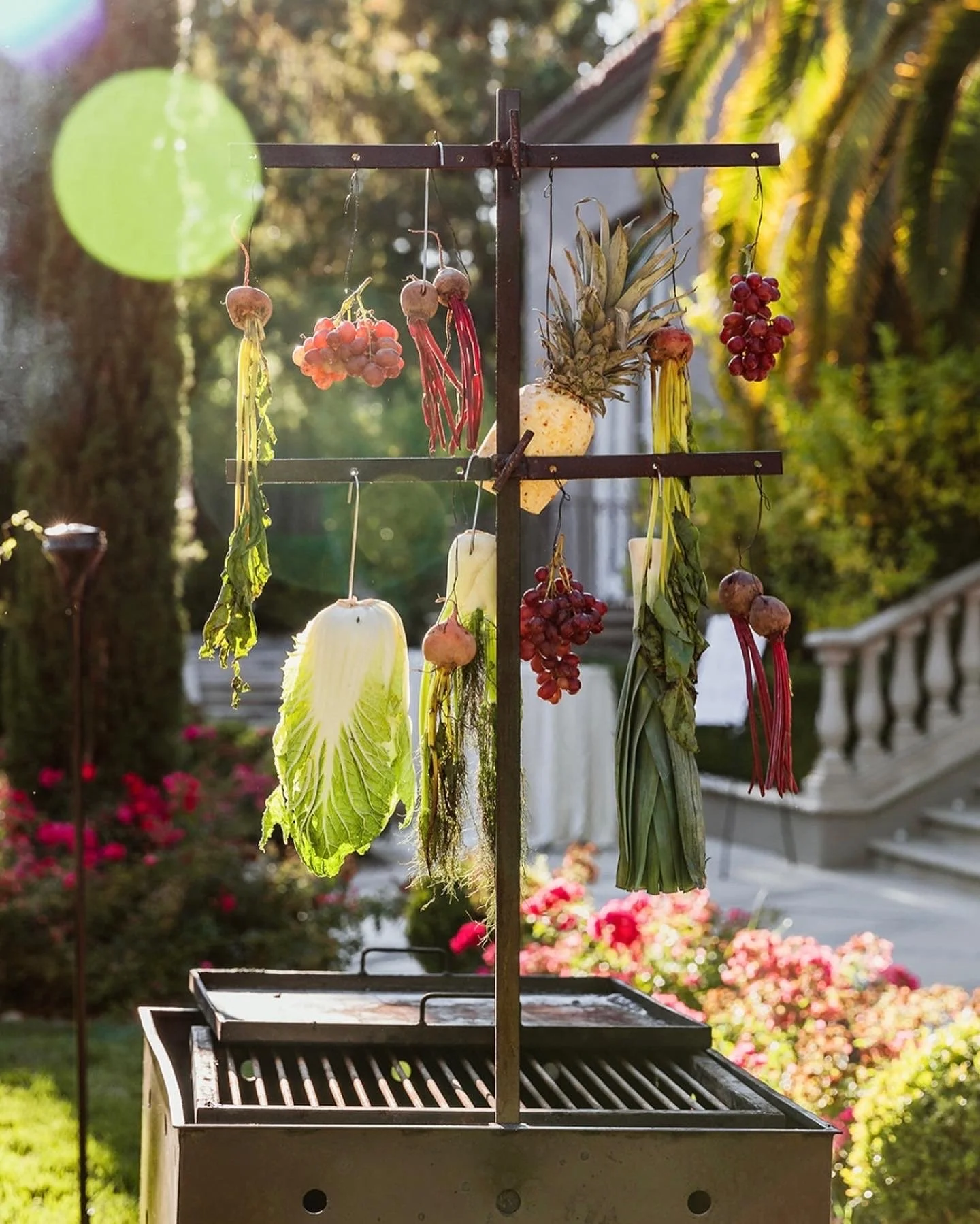 Vegetables and fruits hanging to dry or for display outdoors, with sunlight and garden background.