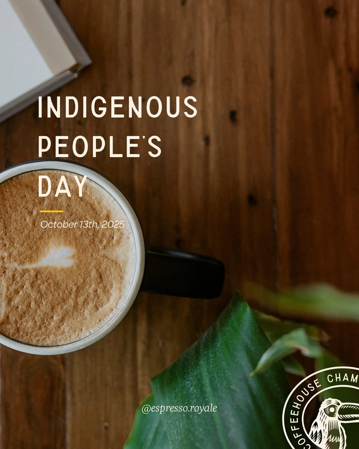 Today, we take a moment to honor the Indigenous peoples whose land we live, learn, and gather on here in Champaign-Urbana.

We&rsquo;re grateful to serve community in these spaces and remain committed to listening, learning, and supporting the Indige
