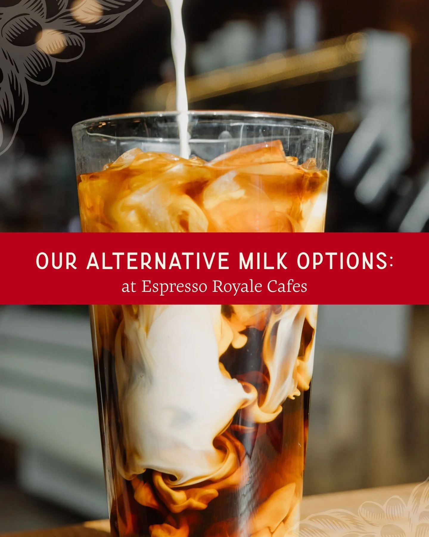 Your drink, your way.

At Espresso Royale, we believe everyone deserves their perfect cup &amp; that includes a variety of dairy-free options!

Choose your favorite milk alternative:

Oat Milk
Almond Milk
Soy Milk

Whether you&rsquo;re sipping a latt