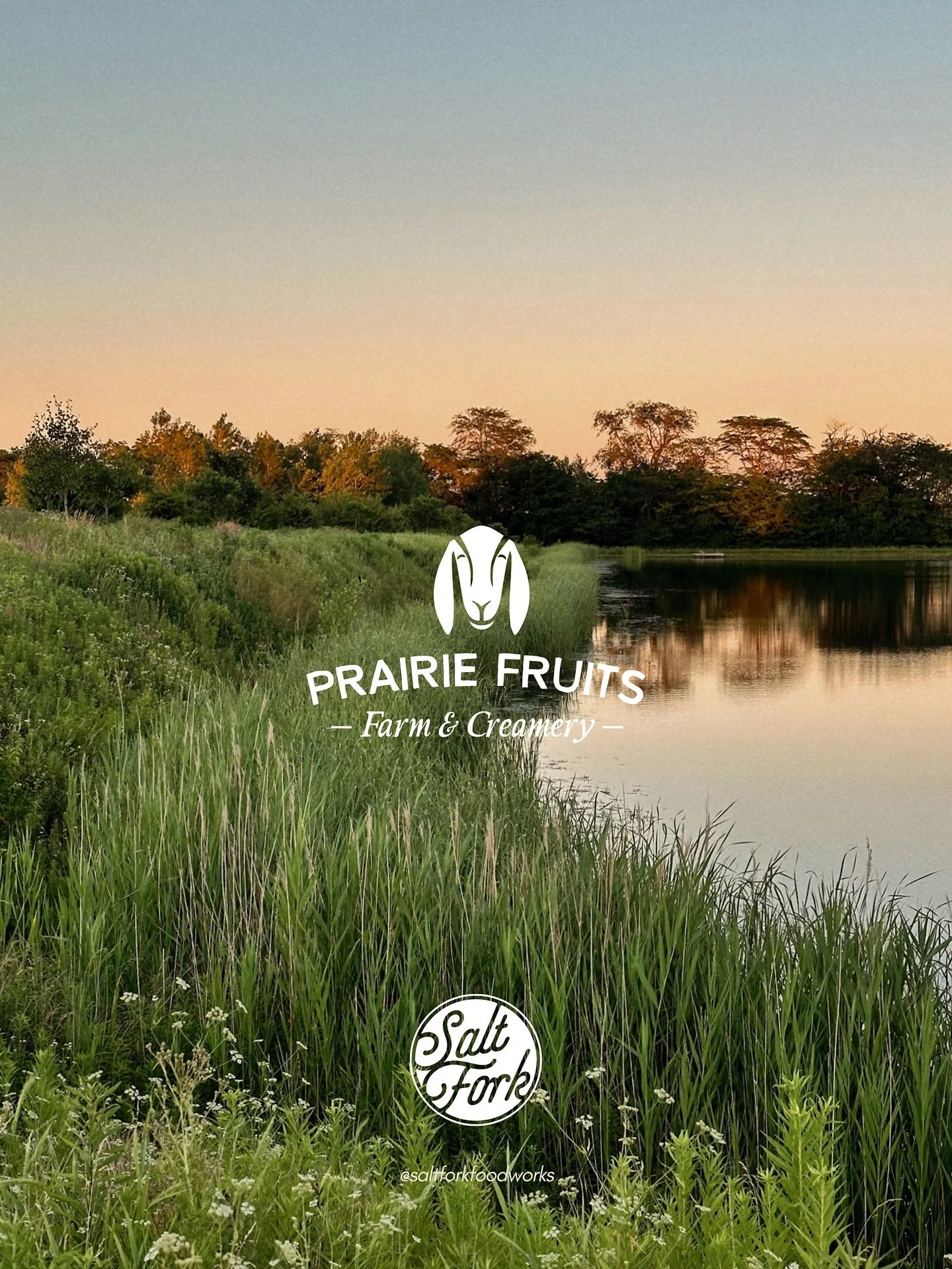 At Prairie Fruits Farm &amp; Creamery, the story of Salt Fork Food Works truly begins.

Our working farm is home to a beloved herd of dairy goats, apple orchards, and seasonal gardens, all cared for with intention and love.

From this land, our talen