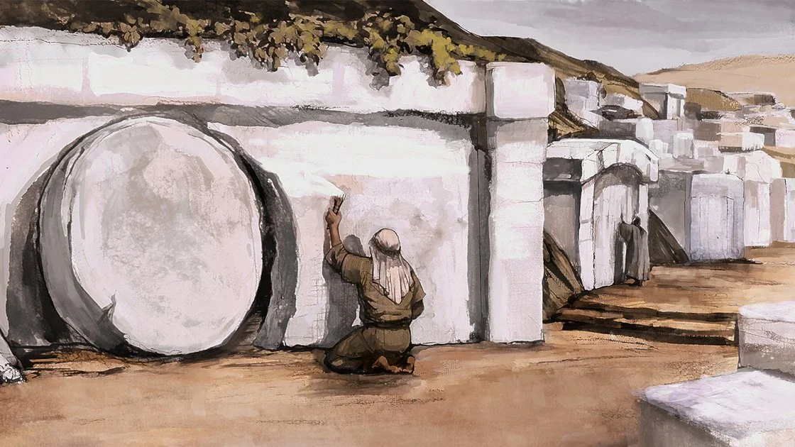 February 8, 2026~ 5th Sunday in Ordinary Time ~ year A