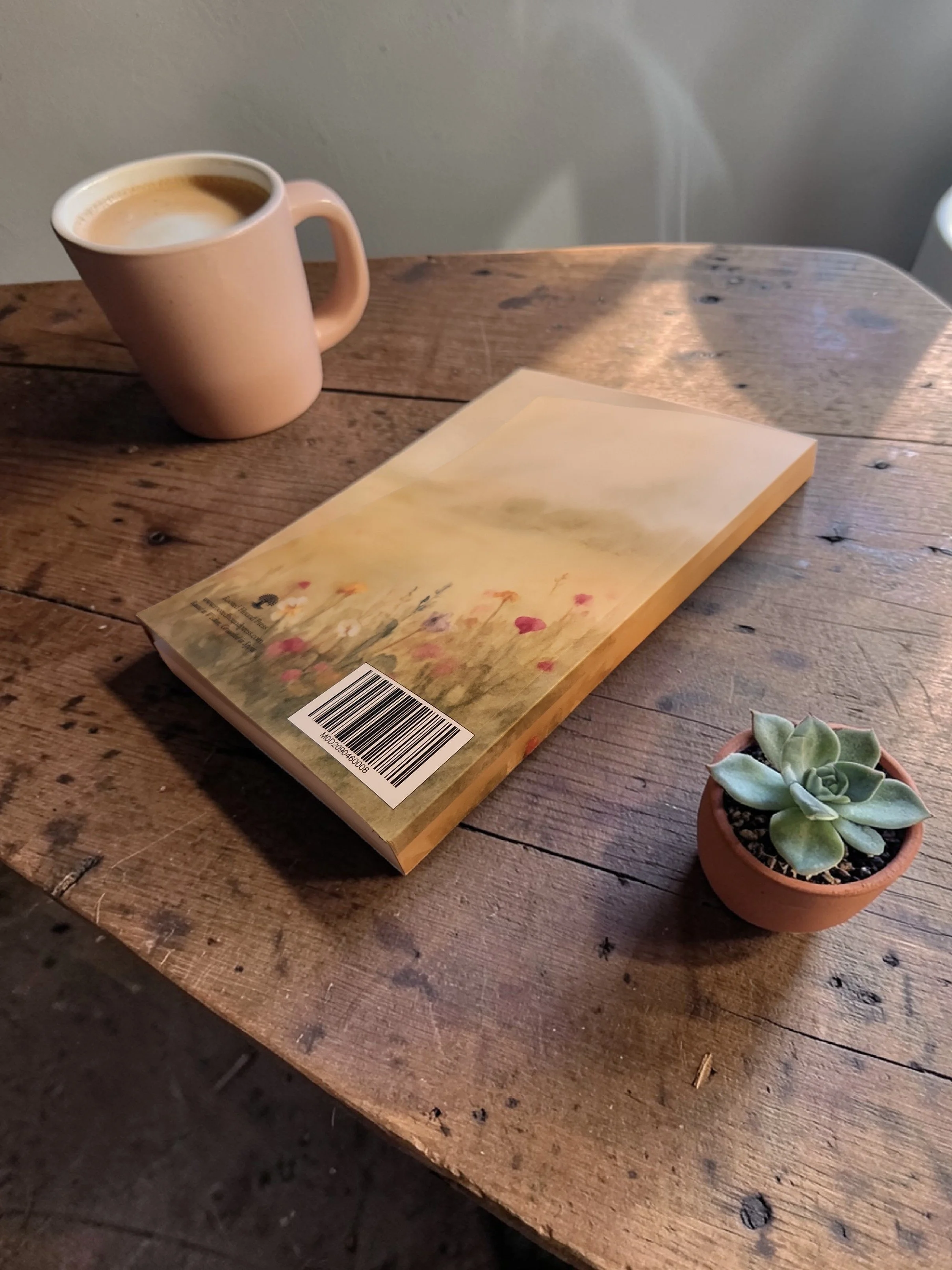 highland cow back.jpg