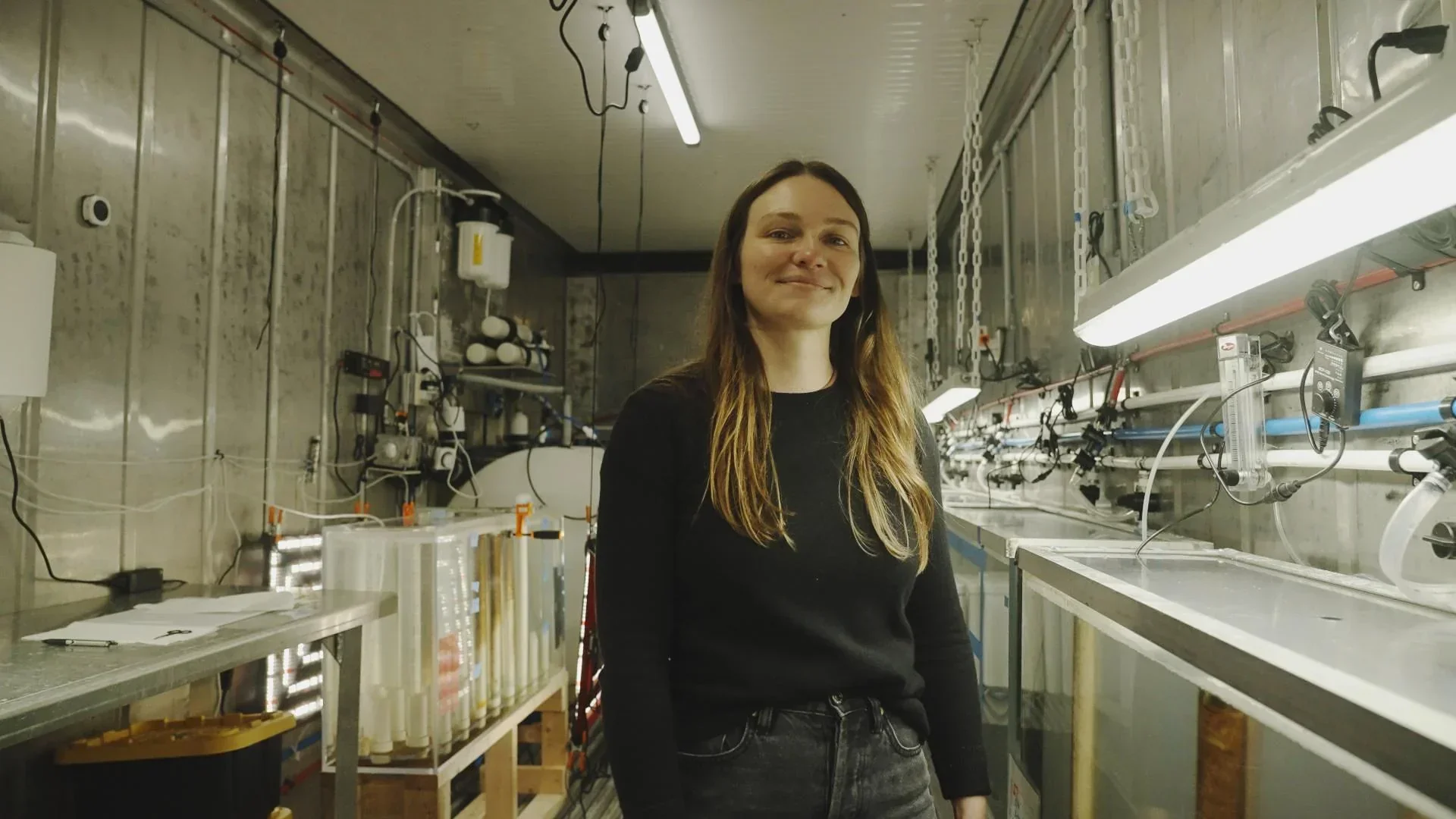 Reducing Your Carbon Footprint: Enjoy Complimentary Carbon Offsetting with Every Online Order