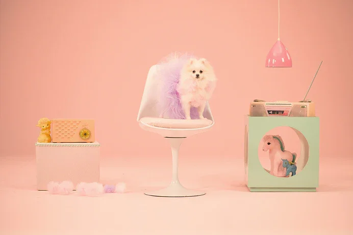 A fluffy white dog sits on a white chair with a purple feather boa, in a pastel pink room the color is Pantone's Color of the Year for 2024, Peach Fuzz.. Surrounding it are retro items and a hanging pink lamp.
