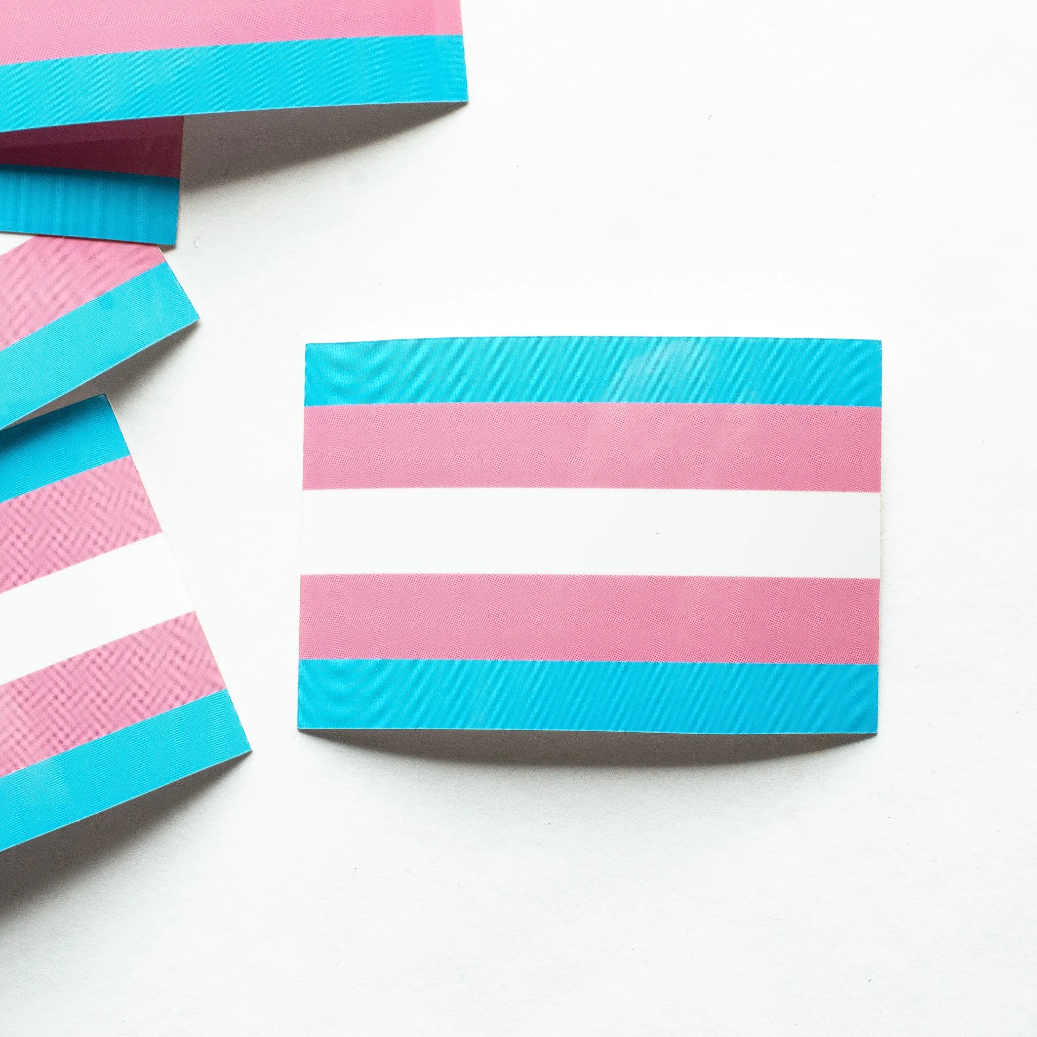 Trans Pride Flag Sticker