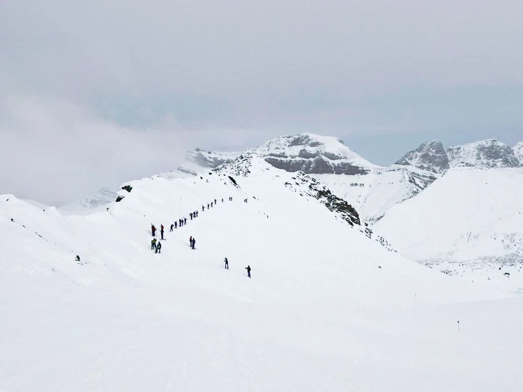 Calgary Alpine Ski Club | Premier Youth Ski Racing & All-Mountain Programs