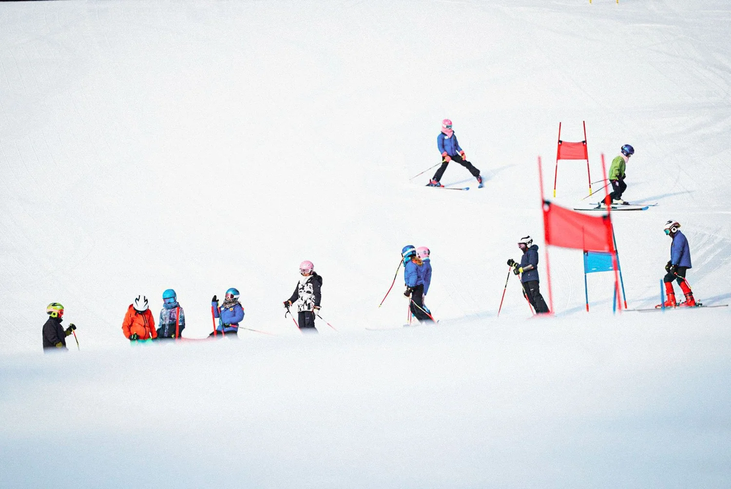 Calgary Alpine Ski Club | Premier Youth Ski Racing & All-Mountain Programs