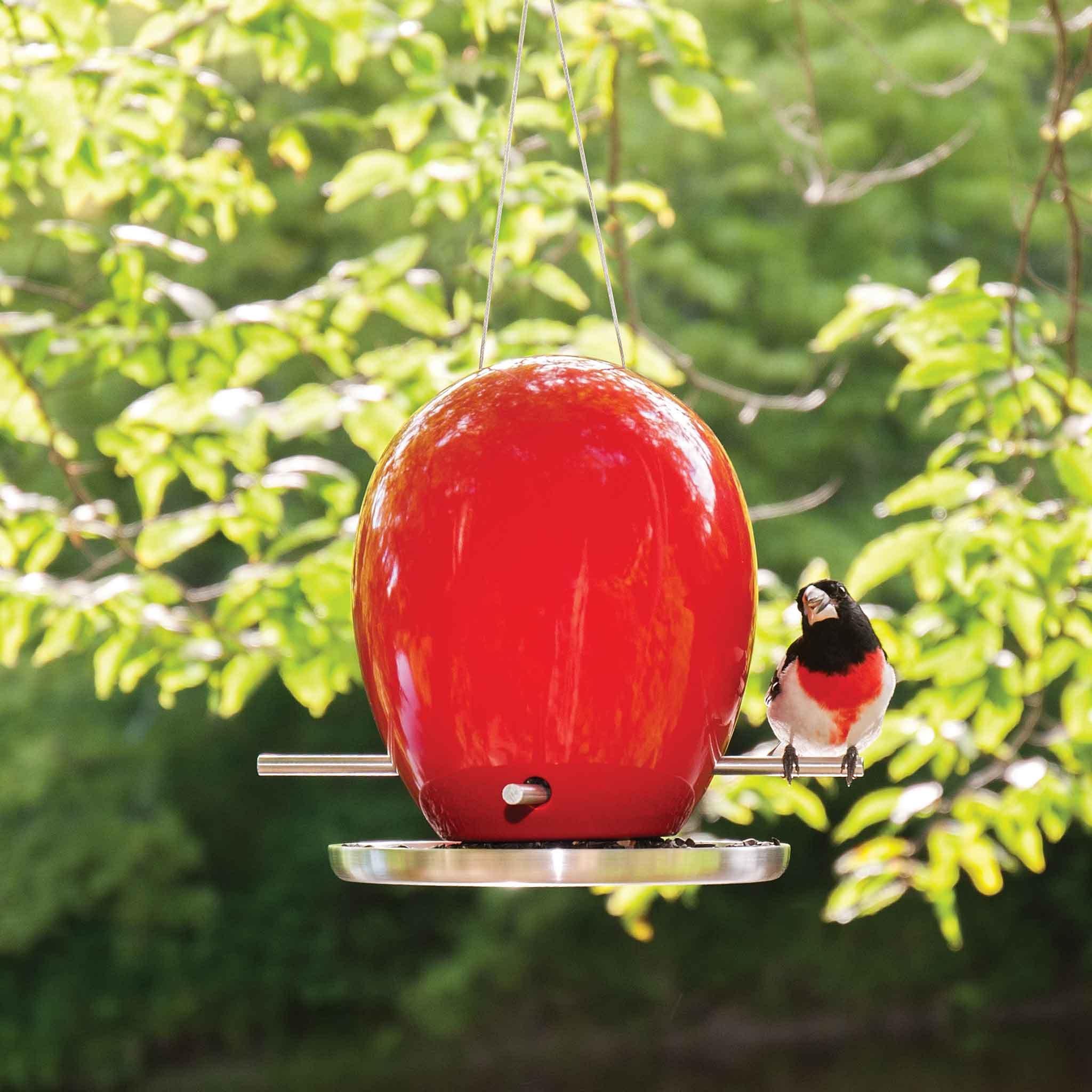 Glossy red ceramic Egg Bird Feeder hanging outdoors, with a red grosbeak perched at the opening.