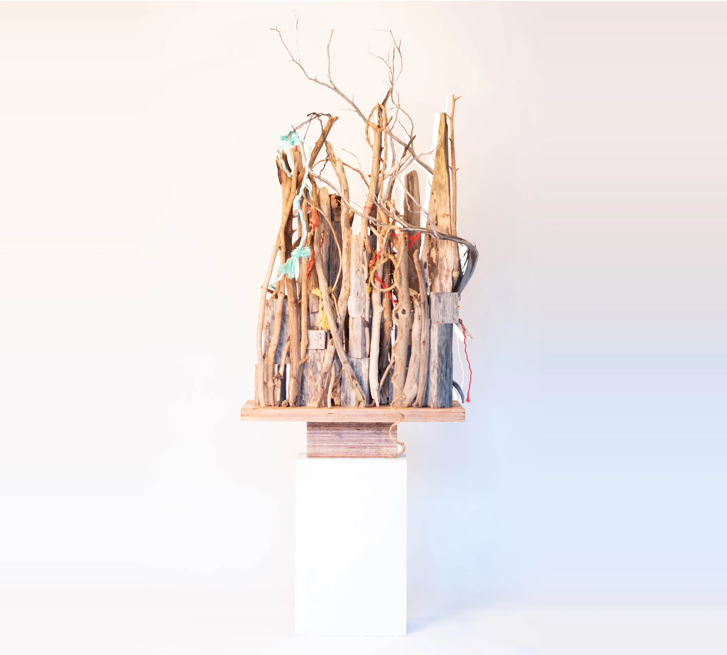 The Club, 2022, wood, rope, and watercolor sculpture by Peter Souza Jr.