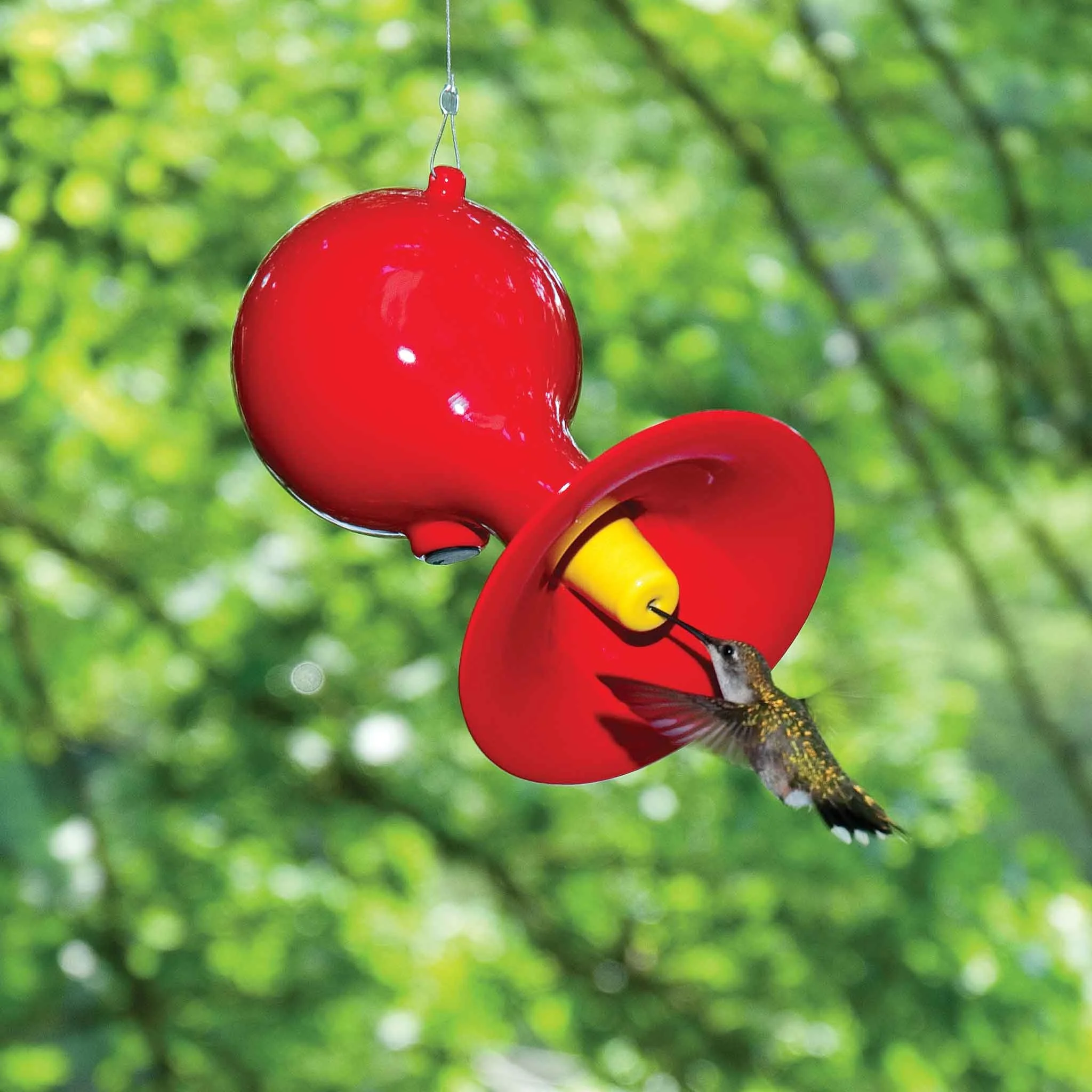 Hummingbird Feeder in Red Hot by Jim Schatz with J Schatz Studio — hanging in garden setting