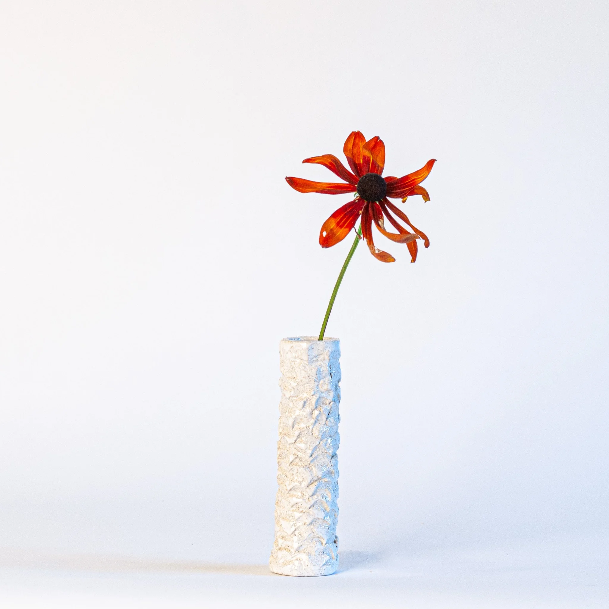 vessels-texture-w6.jpg