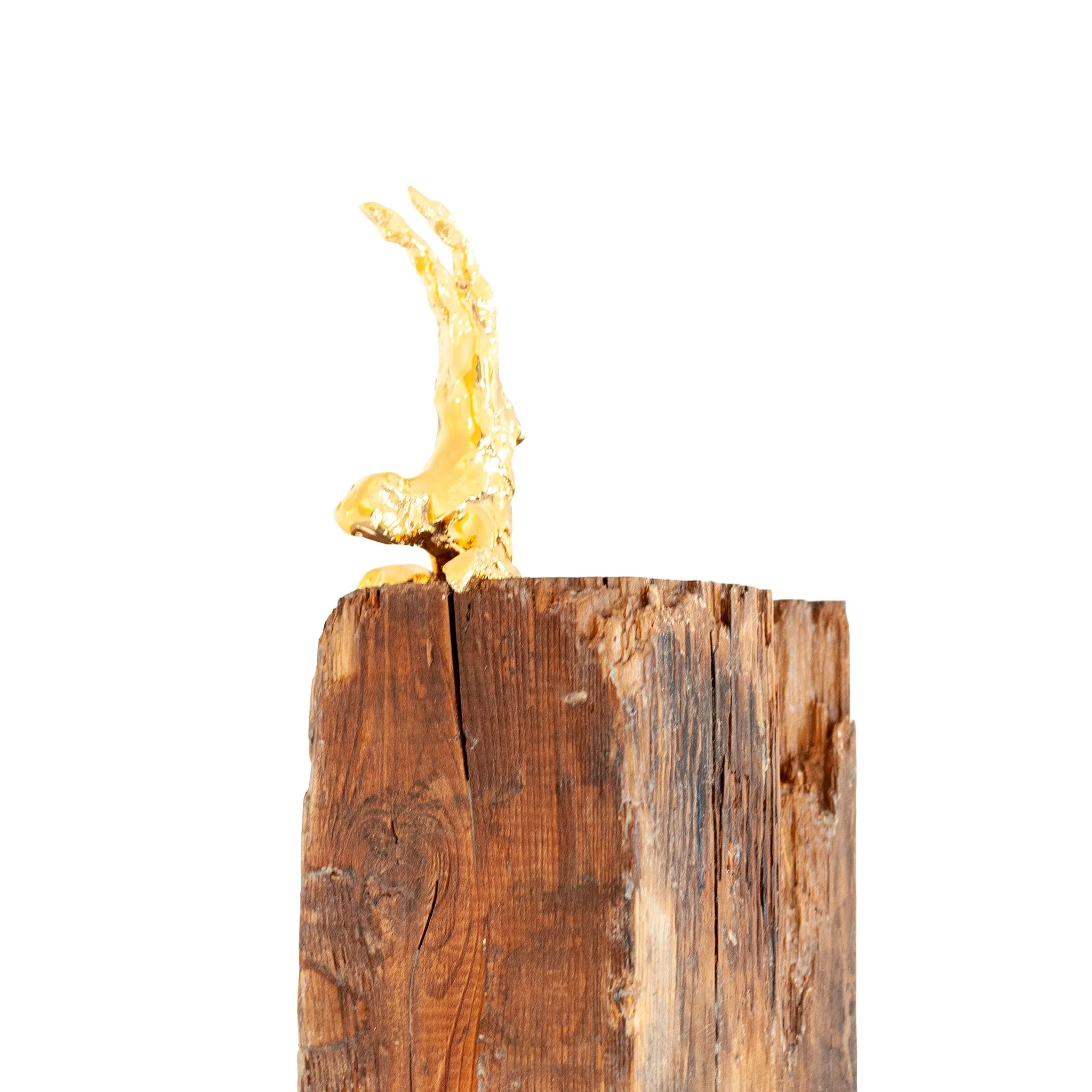 Handstand