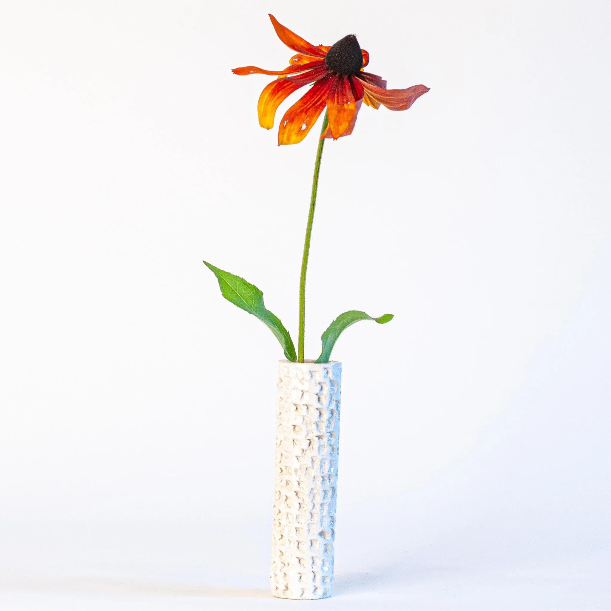 vessels-texture-w3.jpg