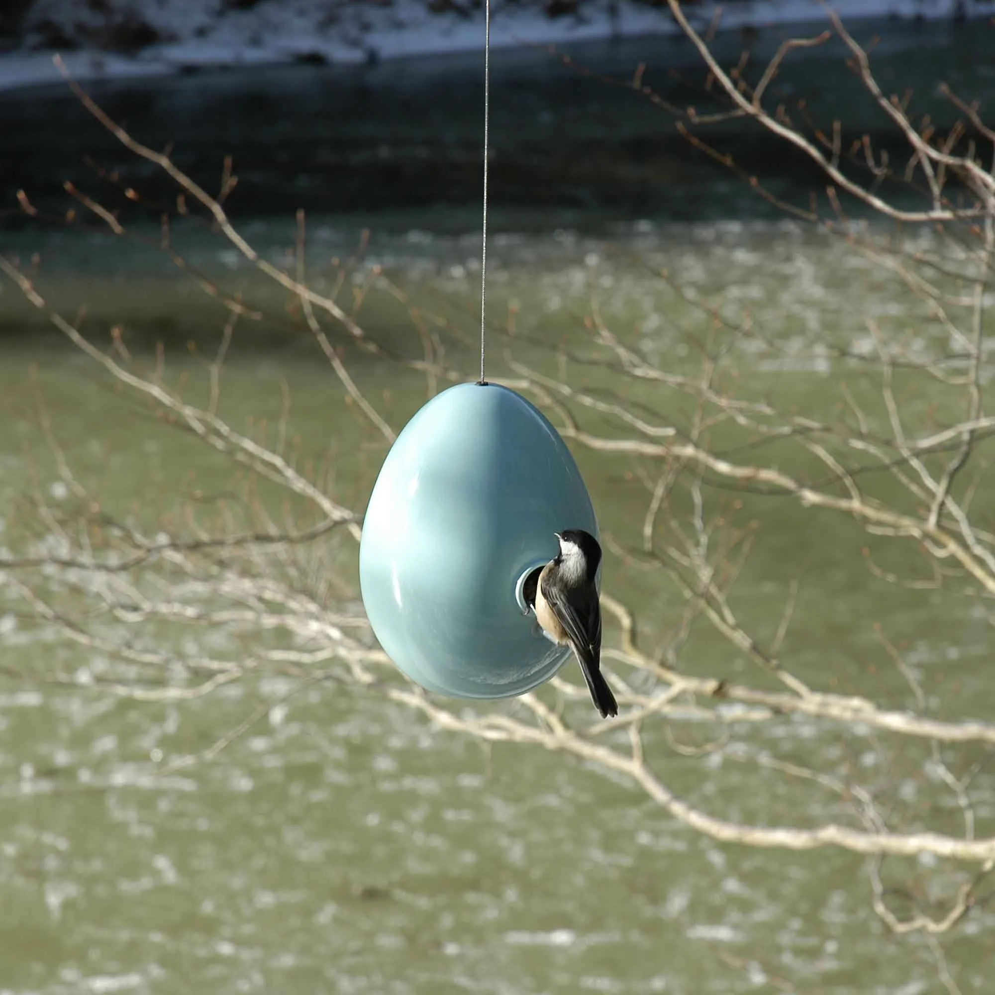 Egg Bird House by Jim Schatz — hanging in outdoor environment