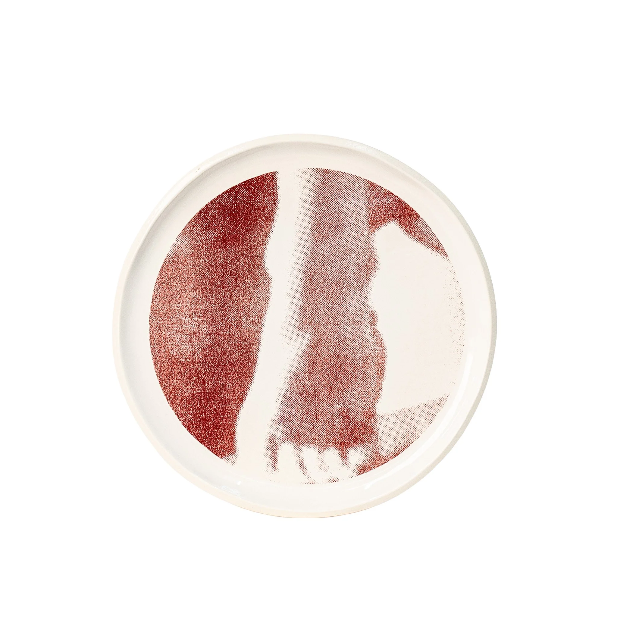 Gestures, plate 7, foot, photo mural ceramic plate by Jim Schatz