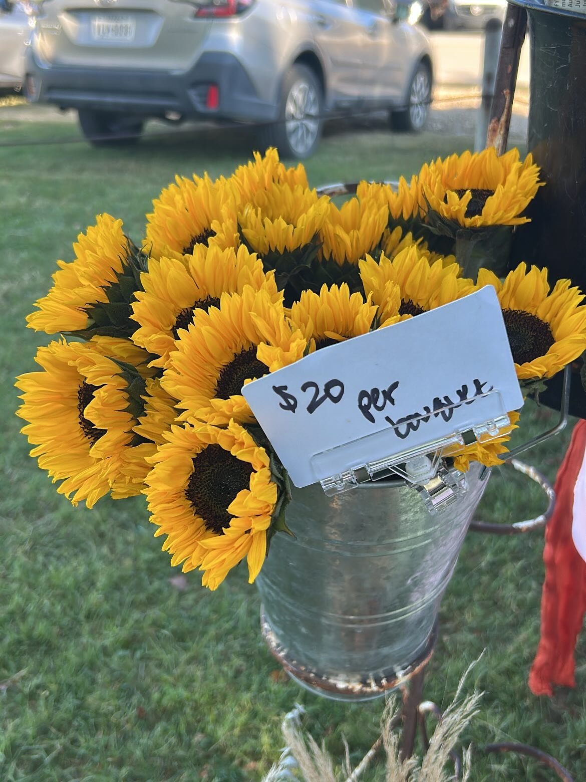 Fresh blooms and a fall breeze &mdash; the best kind of Saturday at the @justin_farmersmarket 🍁💐

#indiansummerflorals #flowersforeveryday #dfwflorist #localflorist #justinfarmersmarket #weddingflorists #flowerclasses #bouquetsubscription