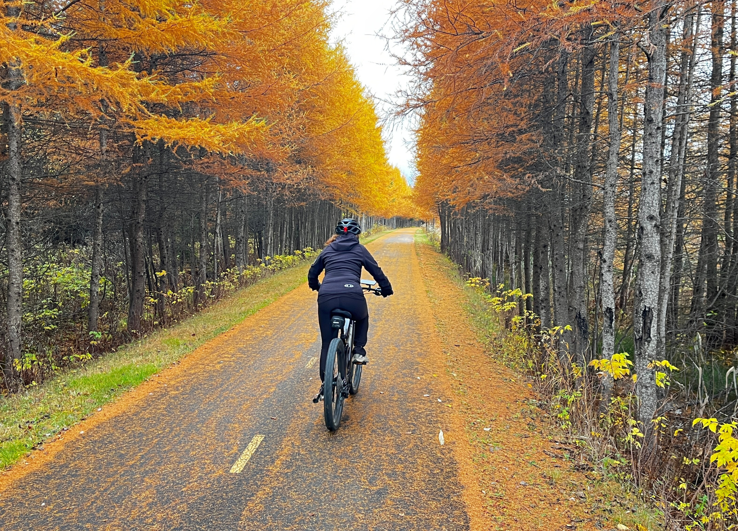 A person biking along a paved forest trail during autumn, with orange and yellow leaves overhead and fallen leaves on the ground.