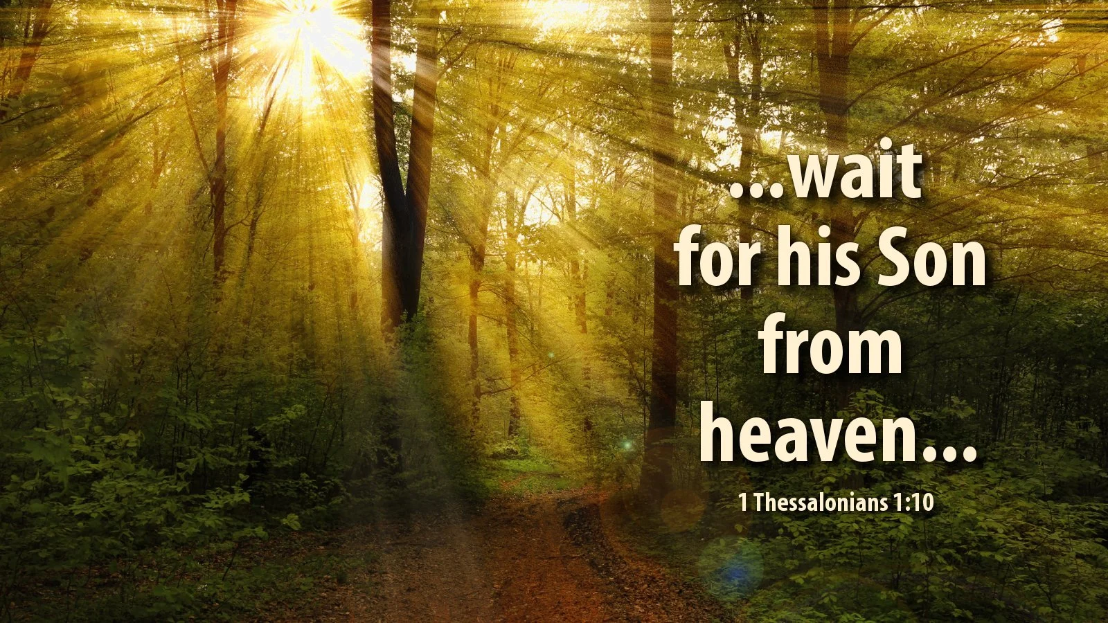 Why the Second Coming of Jesus is the Expectation of All Believers   1 Thessalonians 1:9–10