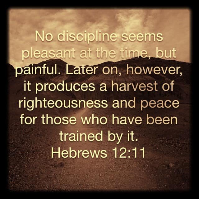 Why God's Thoughts On Discipline Are Superior To Yours  2 Thessalonians 3:6-12